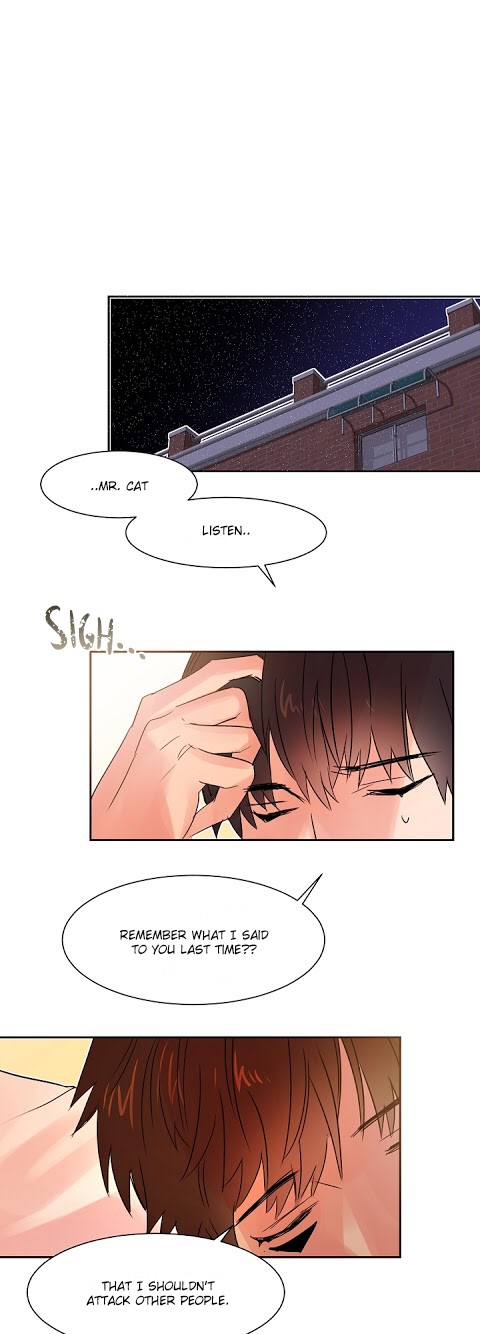 Cat in a Cardboard Box Chapter 11 page 20 - Chapter 11