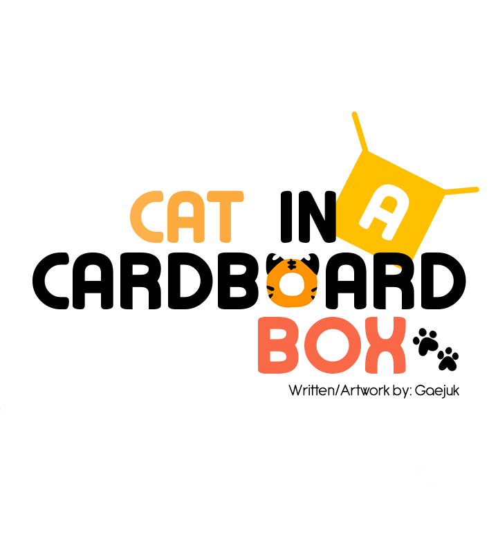 Cat in a Cardboard Box Chapter 11 page 28 - Chapter 11