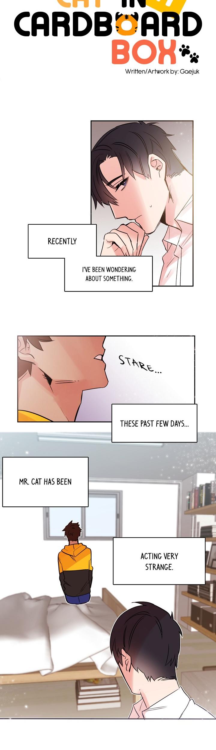 Cat in a Cardboard Box Chapter 12 page 4 - Chapter 12