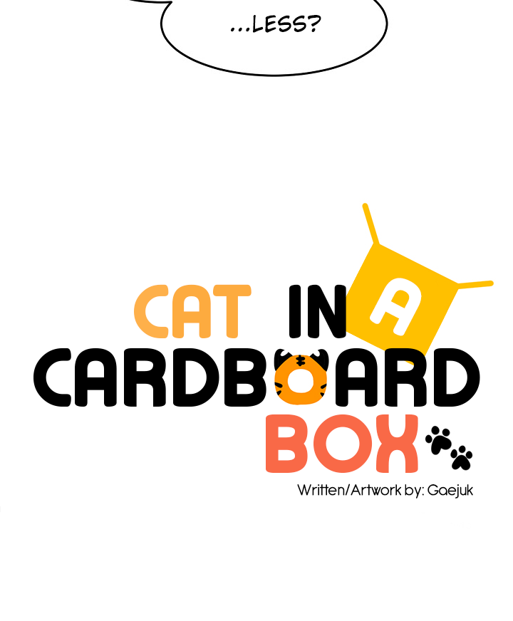 Cat in a Cardboard Box Chapter 16 page 23 - Chapter 16