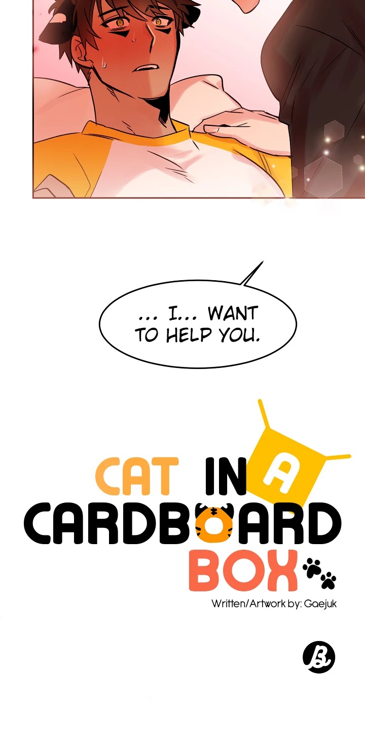 Cat in a Cardboard Box Chapter 19 page 23 - Chapter 19