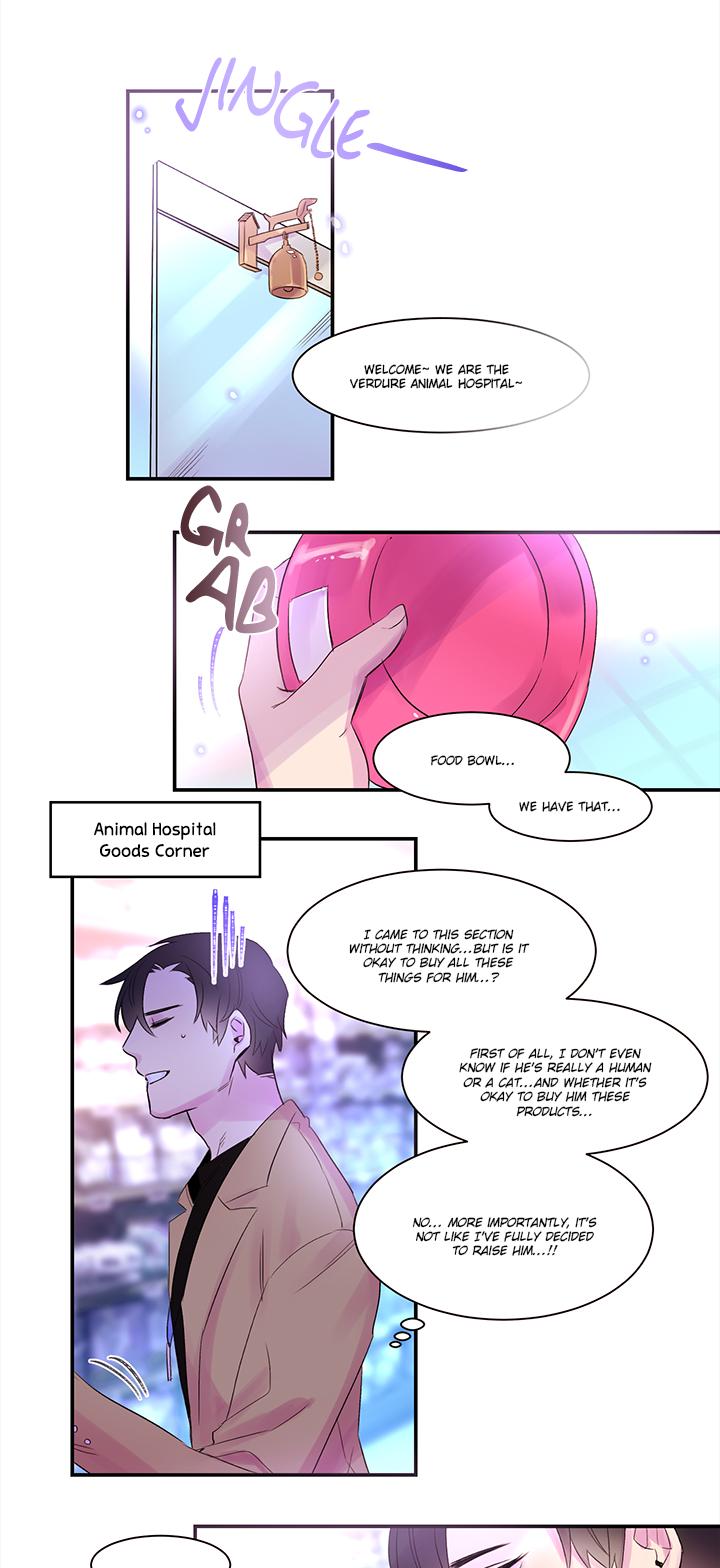 Cat in a Cardboard Box Chapter 2 page 18 - Chapter 2