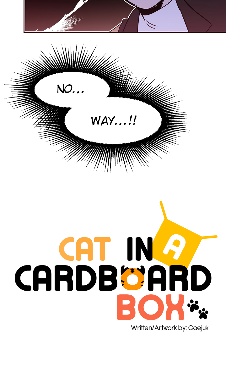Cat in a Cardboard Box Chapter 21 page 23 - Chapter 21