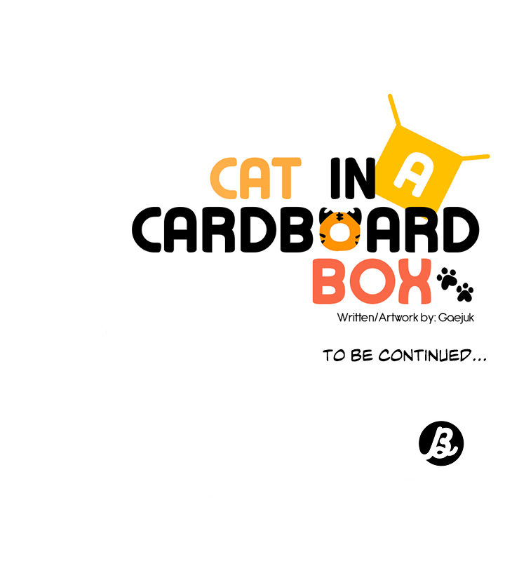 Cat in a Cardboard Box Chapter 27 page 22 - Chapter 27