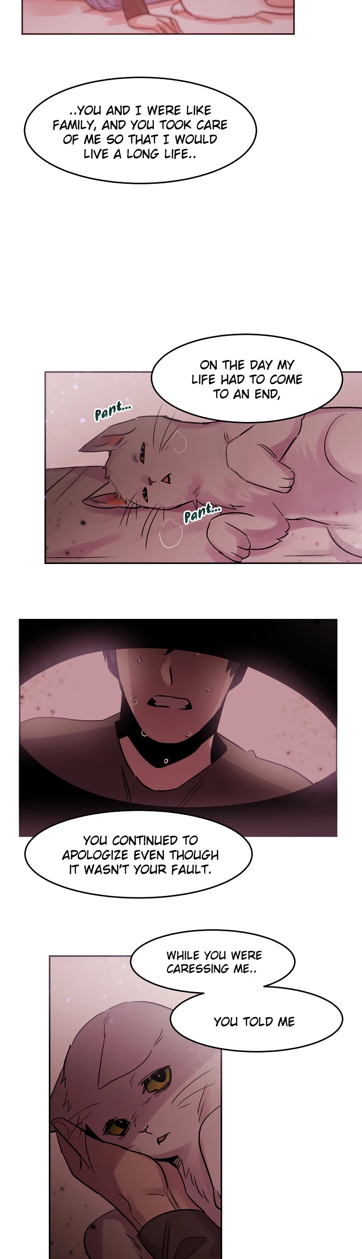 Cat in a Cardboard Box Chapter 28 page 12 - Chapter 28