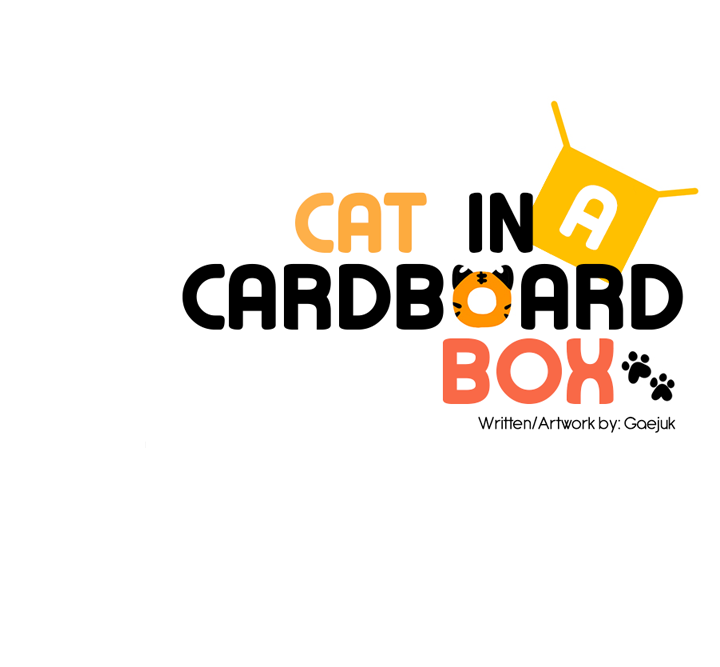 Cat in a Cardboard Box Chapter 29 page 24 - Chapter 29