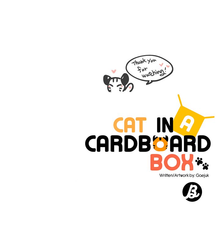 Cat in a Cardboard Box Chapter 30 page 24 - Chapter 30: Epilogue