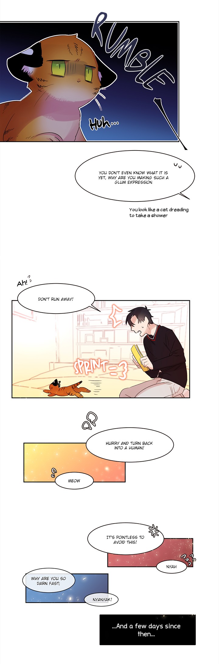 Cat in a Cardboard Box Chapter 4 page 11 - Chapter 4