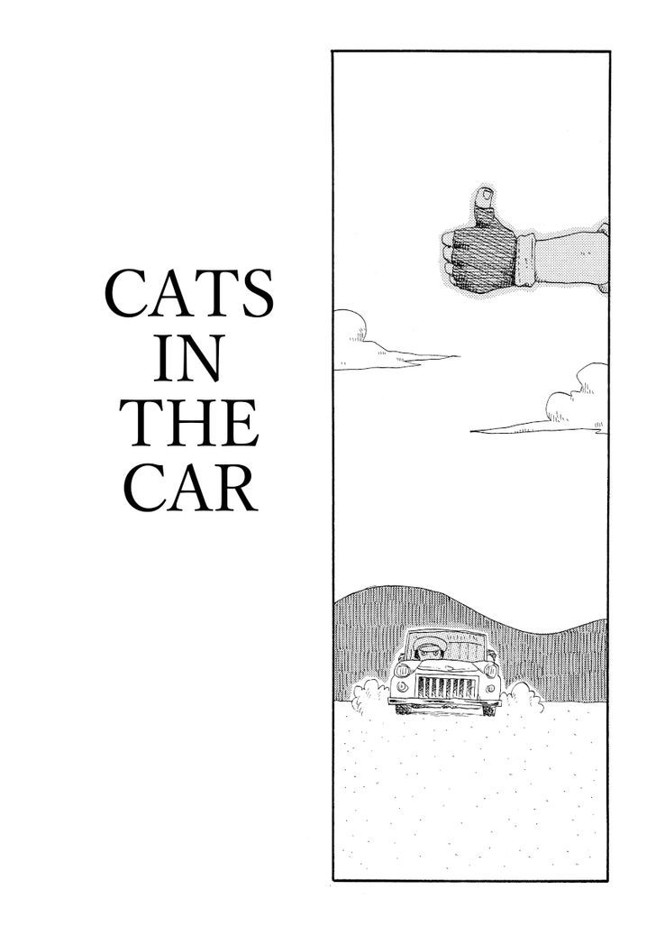 Cat in the Car Chapter 61 page 1 - Chapter 61 : Cats in the Car [END]
