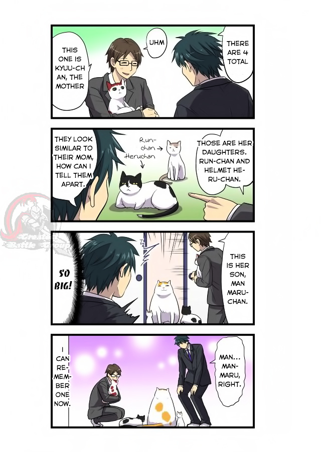 Cat Is Silver Vine Chapter 2 page 5 - Chapter 2 : Chapter 2
