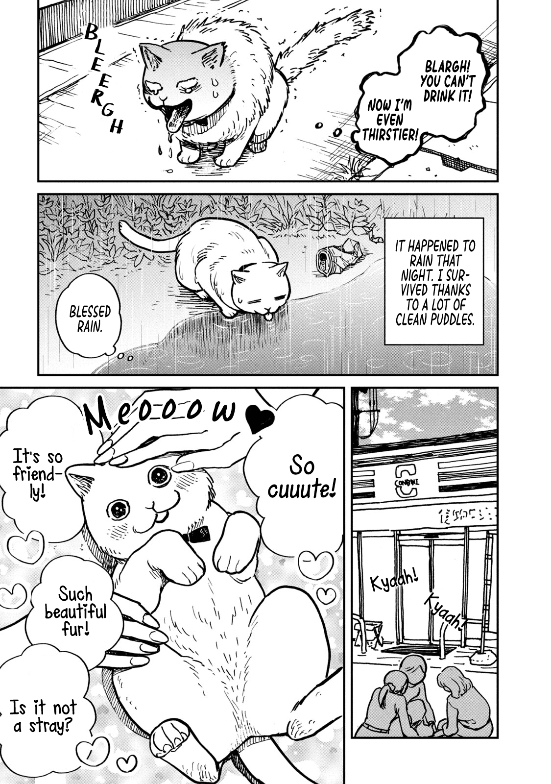 Cat Partners: Maruru and Hachi Chapter 1 page 12 - Chapter 1: Maruru and Hachi