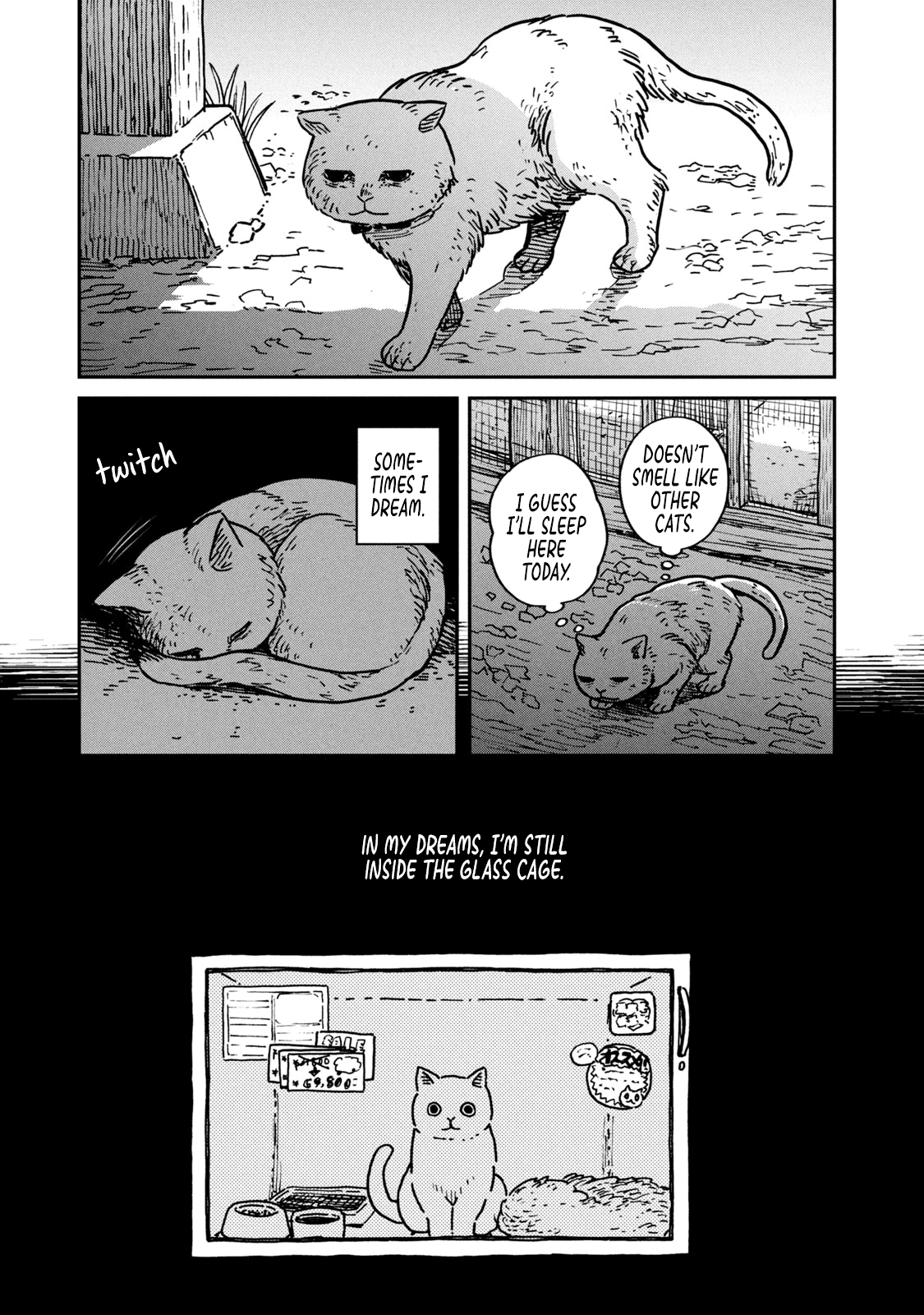 Cat Partners: Maruru and Hachi Chapter 1 page 14 - Chapter 1: Maruru and Hachi