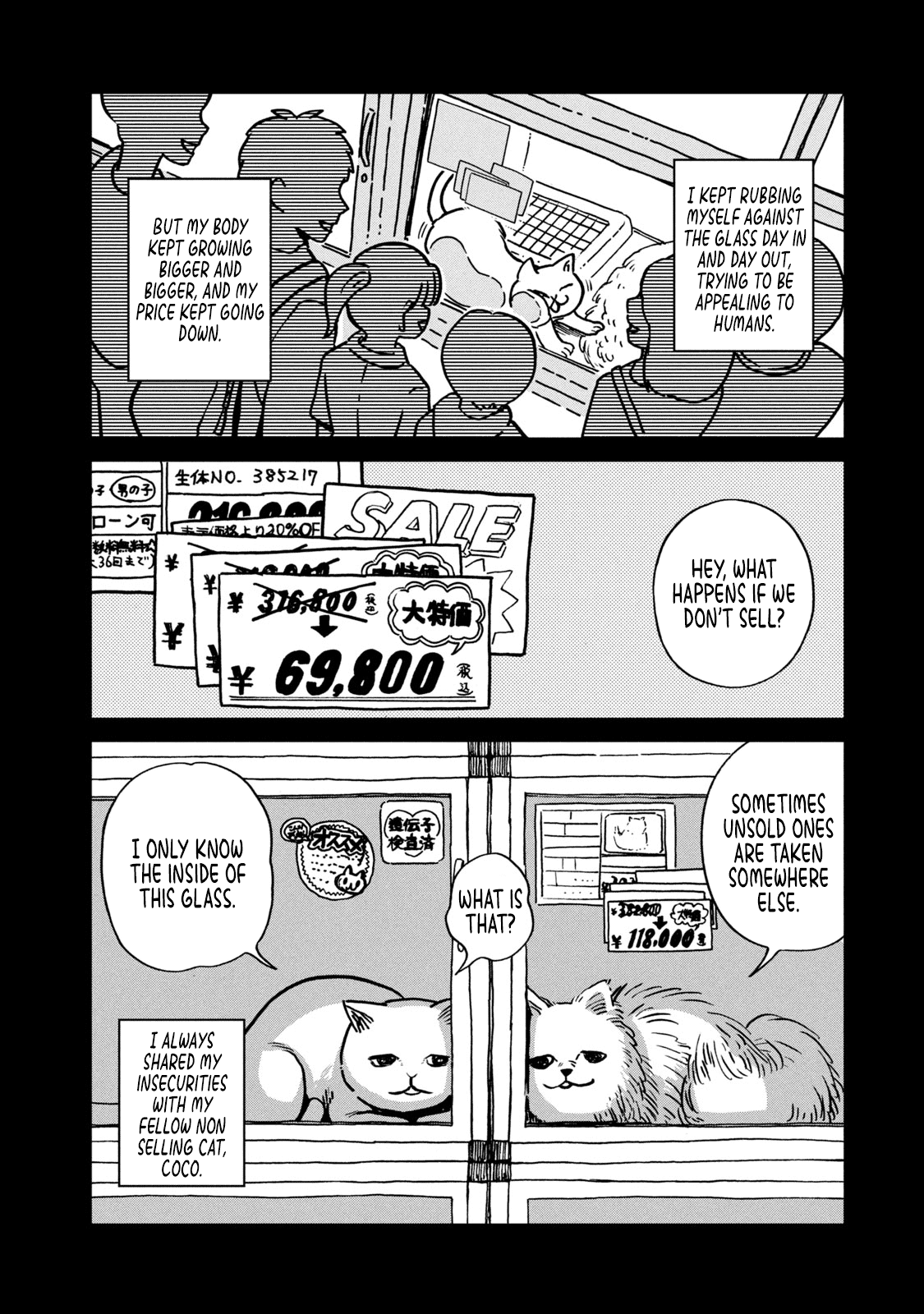 Cat Partners: Maruru and Hachi Chapter 1 page 15 - Chapter 1: Maruru and Hachi