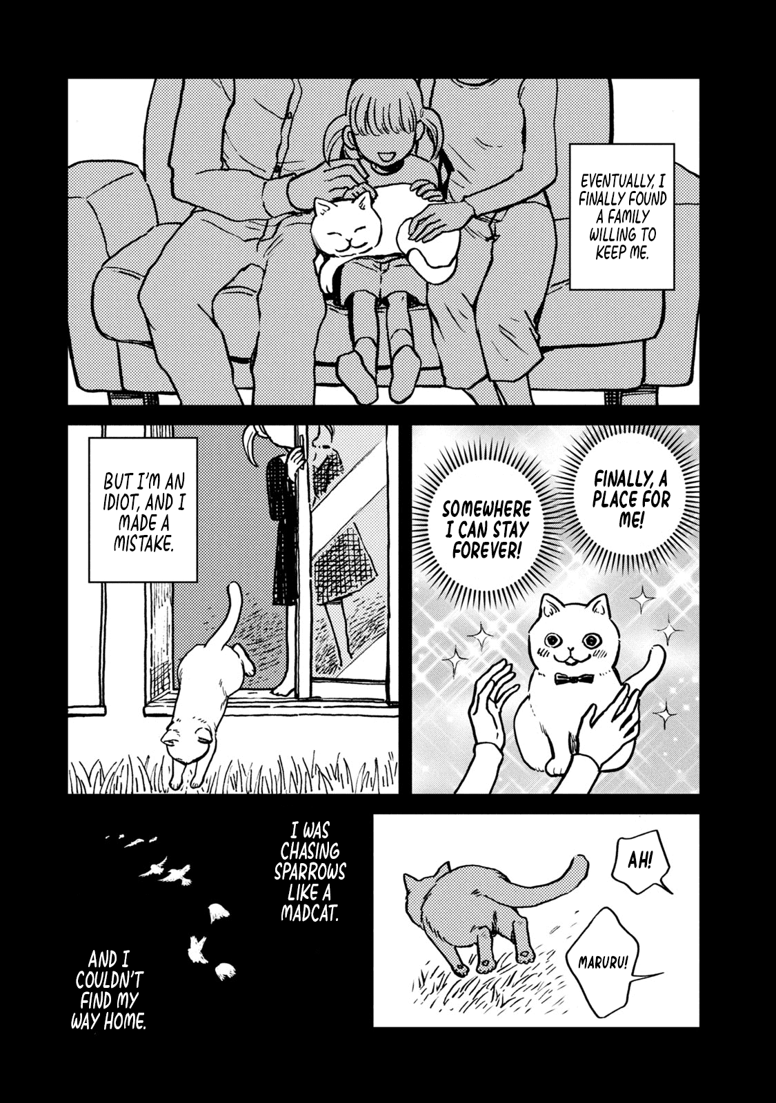 Cat Partners: Maruru and Hachi Chapter 1 page 16 - Chapter 1: Maruru and Hachi