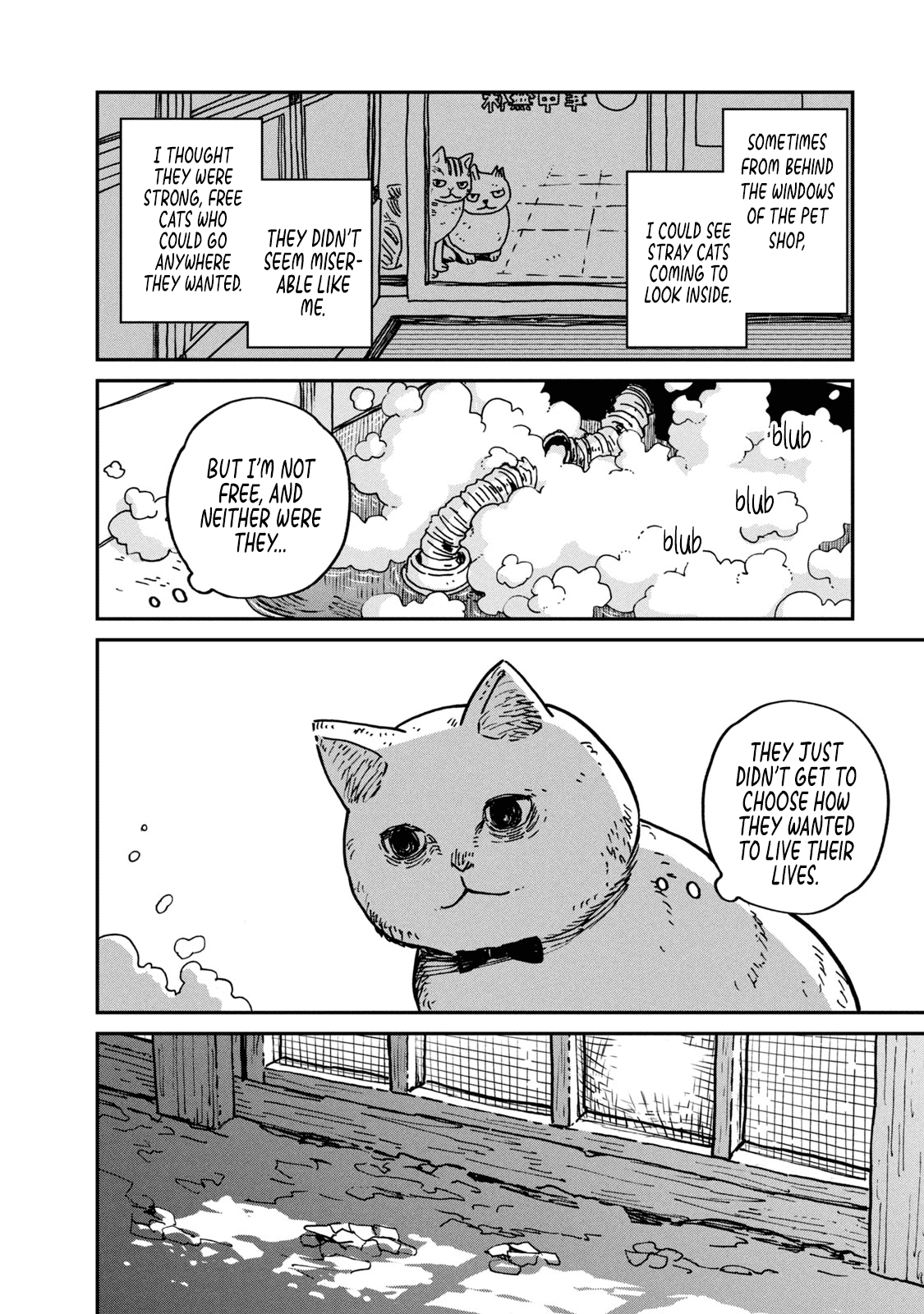 Cat Partners: Maruru and Hachi Chapter 1 page 25 - Chapter 1: Maruru and Hachi