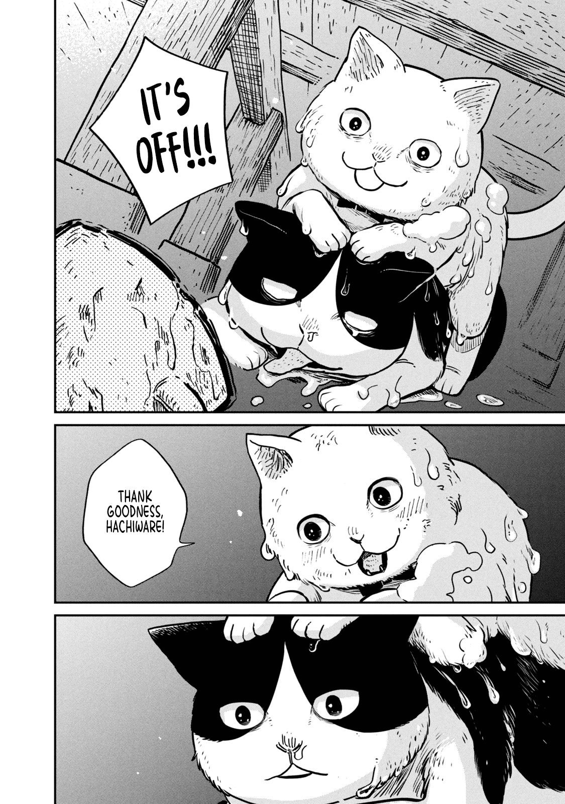 Cat Partners: Maruru and Hachi Chapter 1 page 31 - Chapter 1: Maruru and Hachi