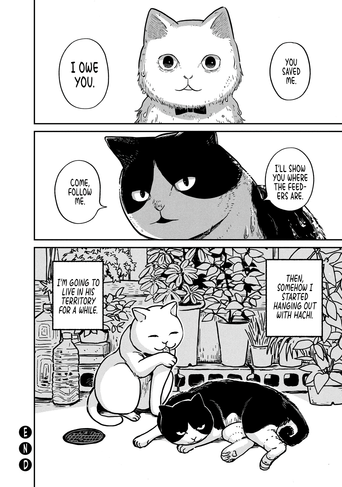 Cat Partners: Maruru and Hachi Chapter 1 page 33 - Chapter 1: Maruru and Hachi