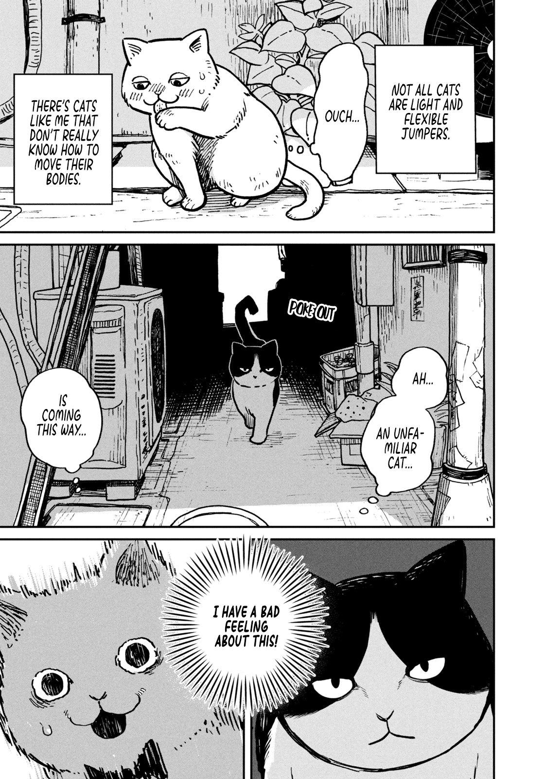 Cat Partners: Maruru and Hachi Chapter 1 page 6 - Chapter 1: Maruru and Hachi