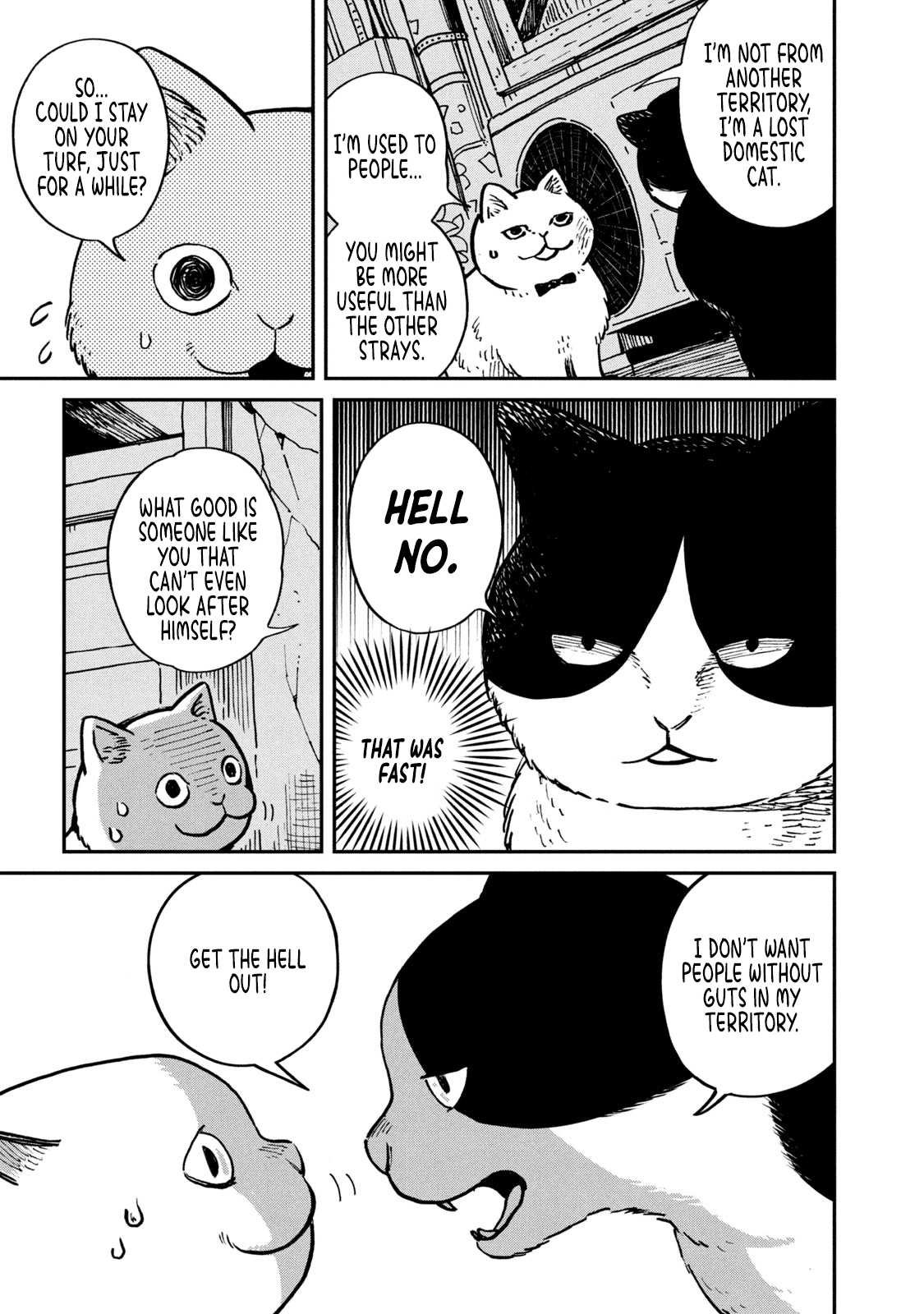 Cat Partners: Maruru and Hachi Chapter 1 page 8 - Chapter 1: Maruru and Hachi