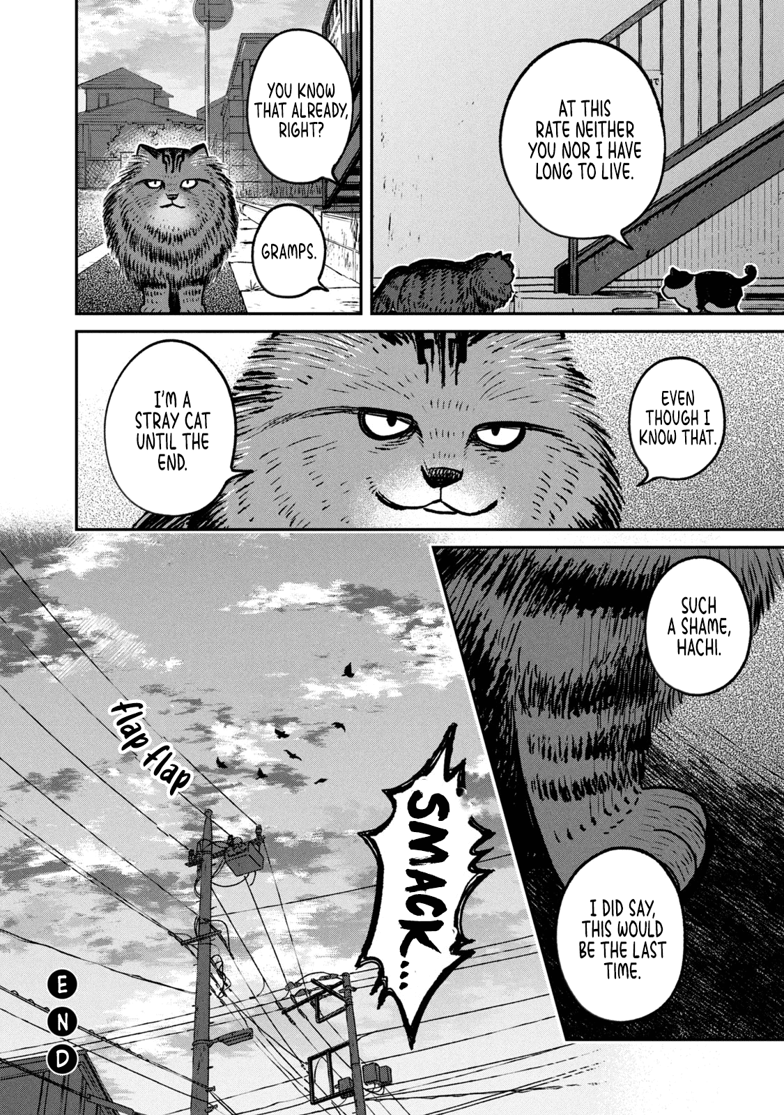 Cat Partners: Maruru and Hachi Chapter 10 page 11 - Chapter 10: The Time Remaining