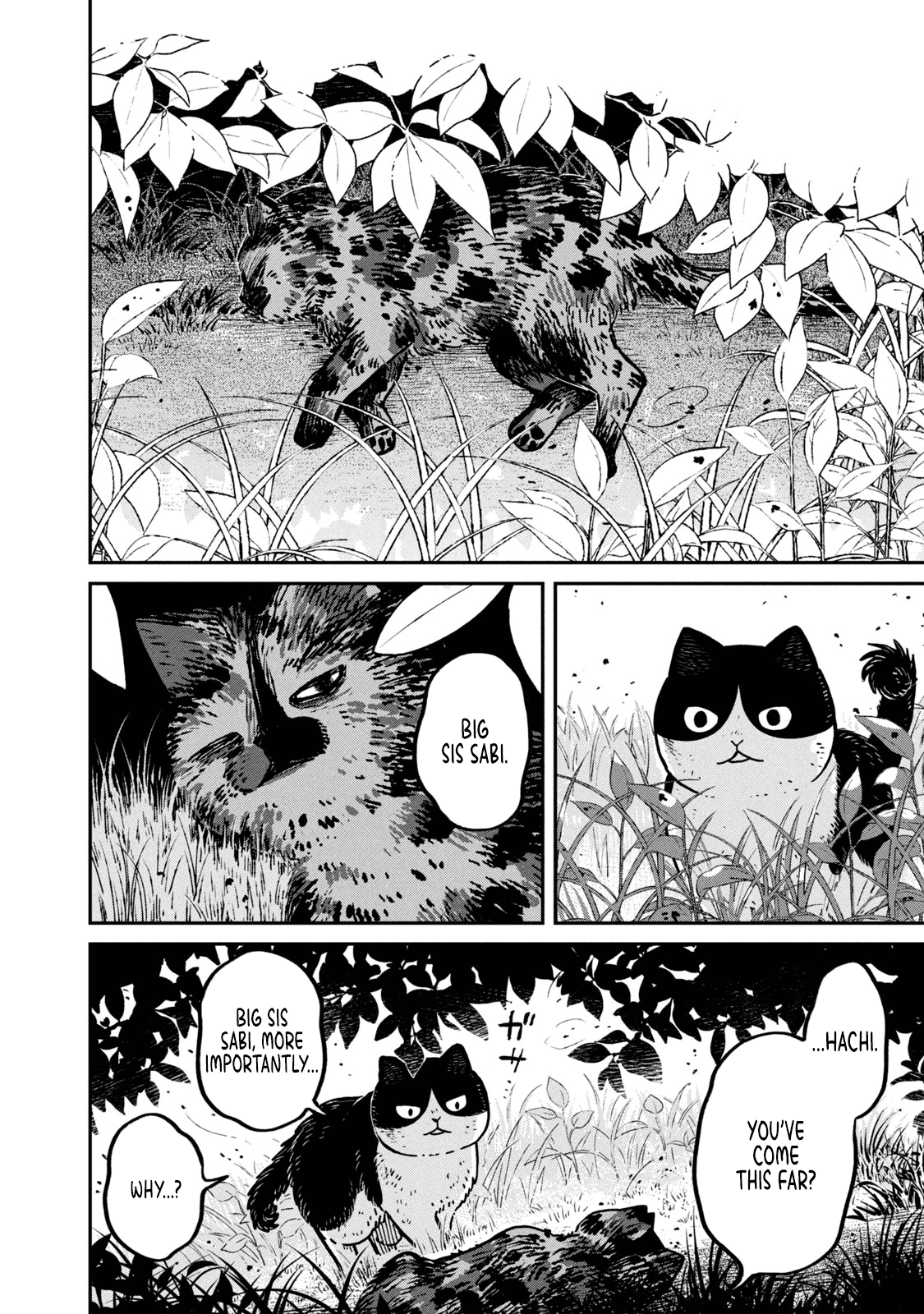 Cat Partners: Maruru and Hachi Chapter 10 page 5 - Chapter 10: The Time Remaining