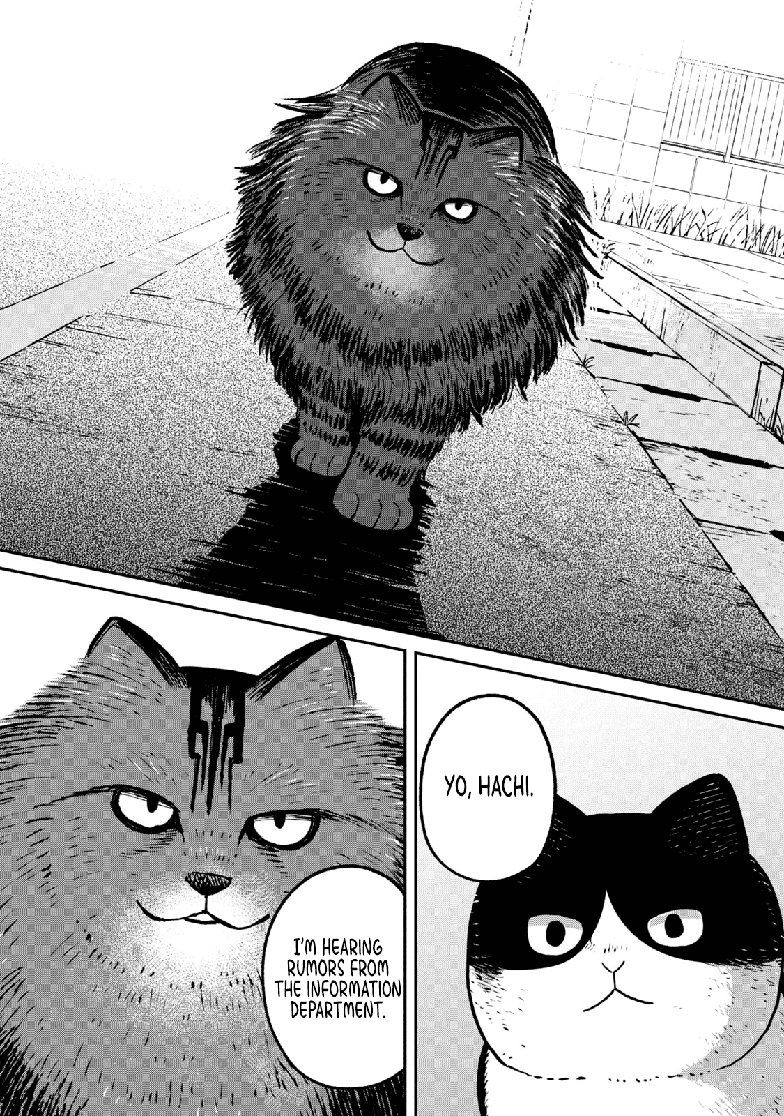 Cat Partners: Maruru and Hachi Chapter 10 page 9 - Chapter 10: The Time Remaining