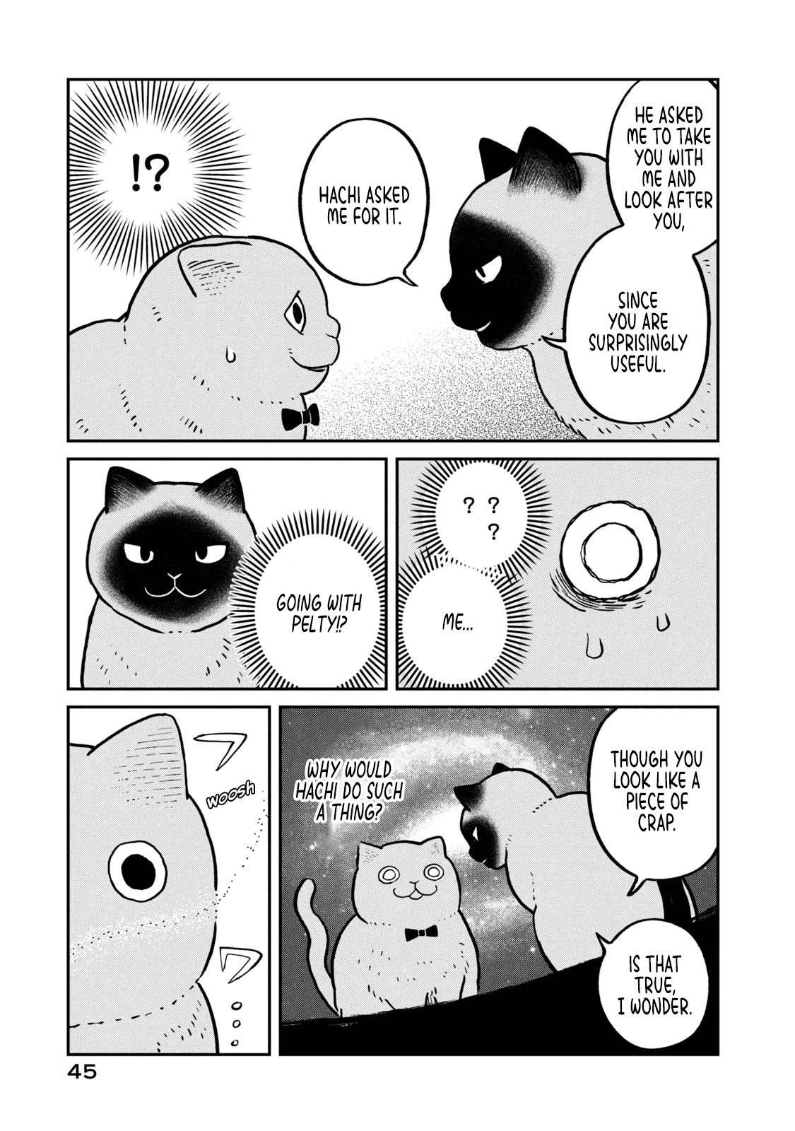 Cat Partners: Maruru and Hachi Chapter 11 page 10 - Chapter 11: Hachi's Choice