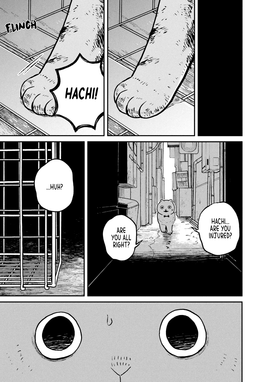 Cat Partners: Maruru and Hachi Chapter 11 page 12 - Chapter 11: Hachi's Choice
