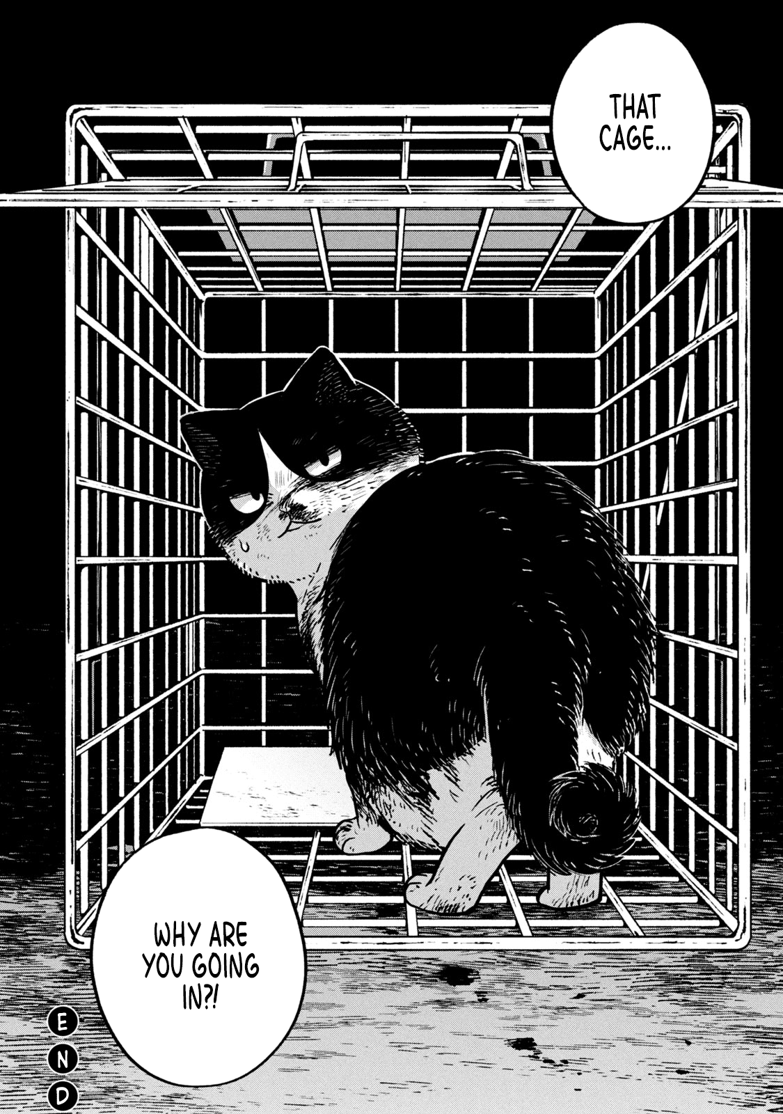 Cat Partners: Maruru and Hachi Chapter 11 page 13 - Chapter 11: Hachi's Choice