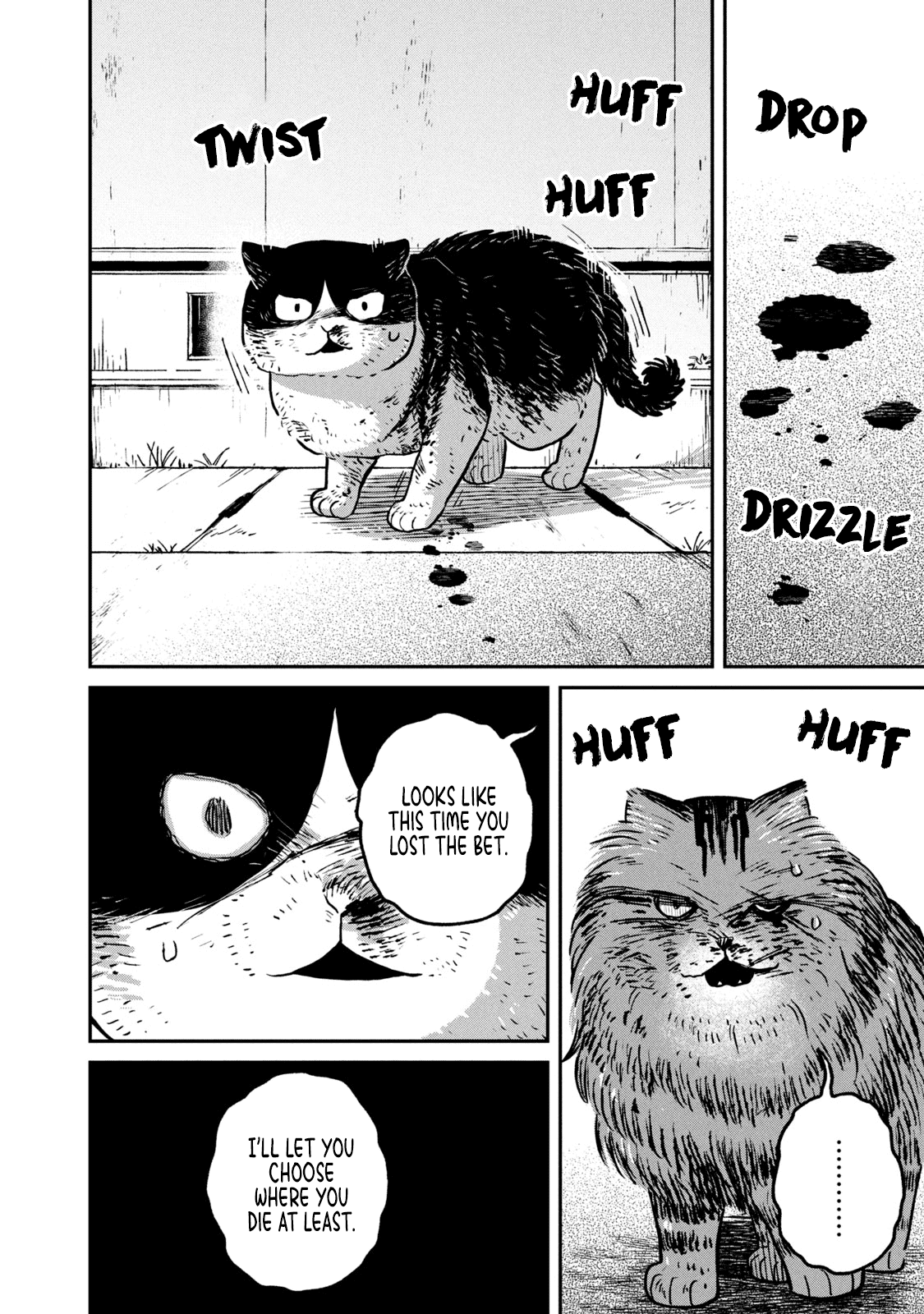 Cat Partners: Maruru and Hachi Chapter 11 page 3 - Chapter 11: Hachi's Choice