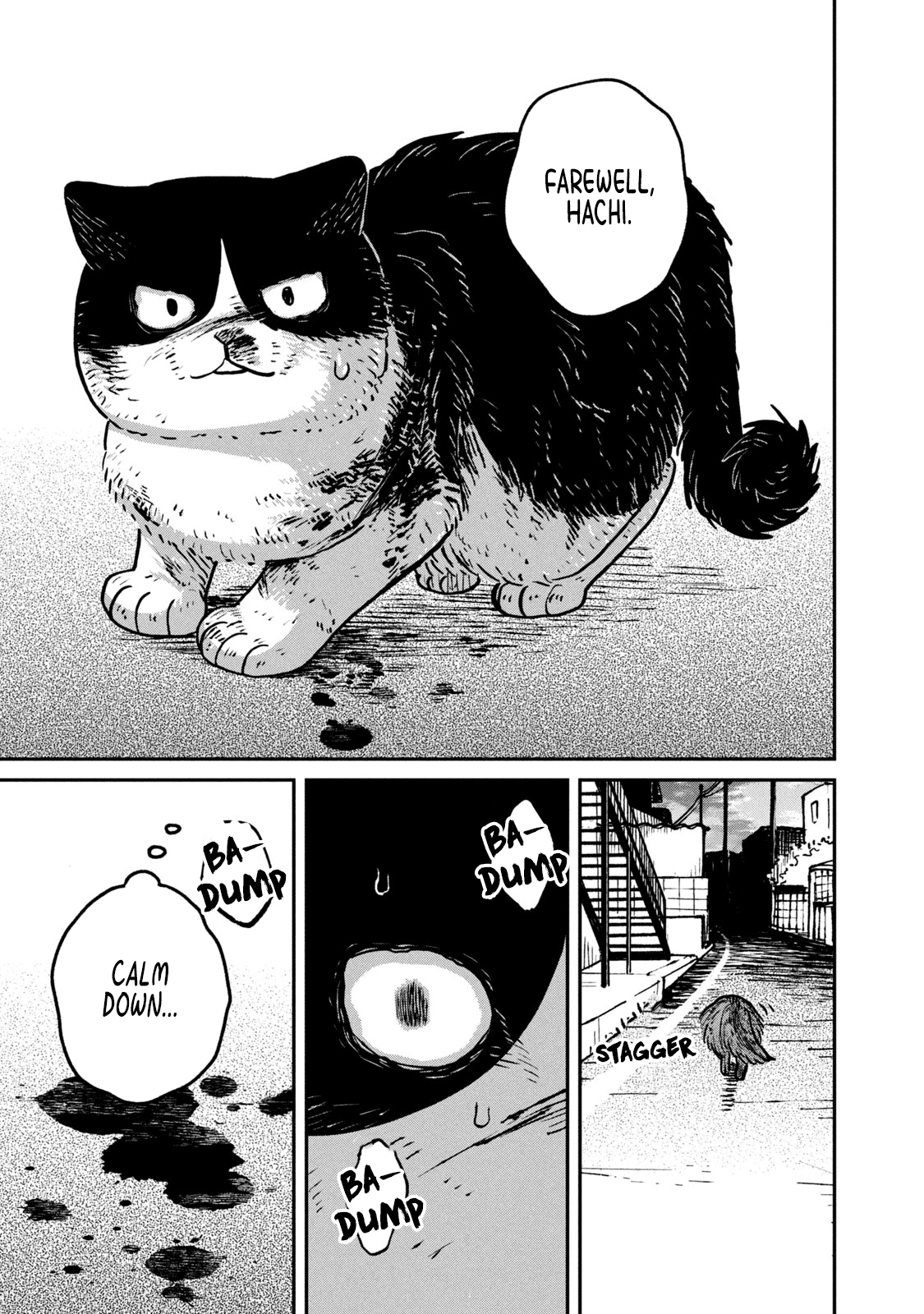 Cat Partners: Maruru and Hachi Chapter 11 page 4 - Chapter 11: Hachi's Choice