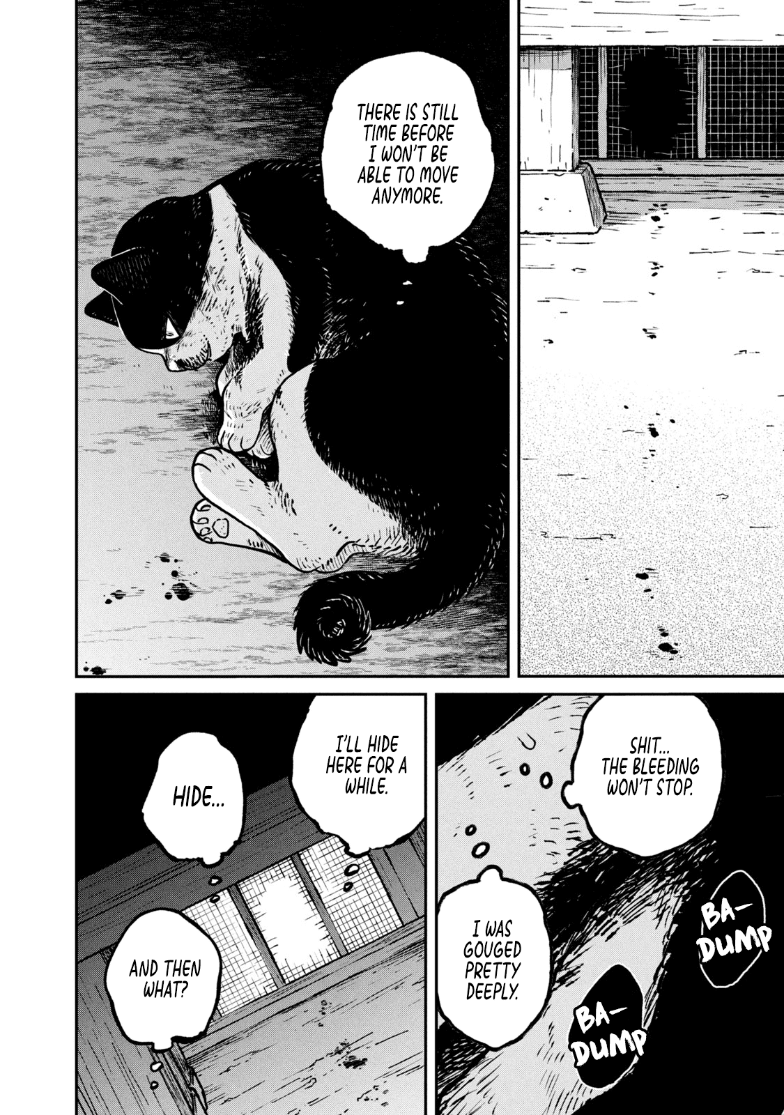 Cat Partners: Maruru and Hachi Chapter 11 page 5 - Chapter 11: Hachi's Choice