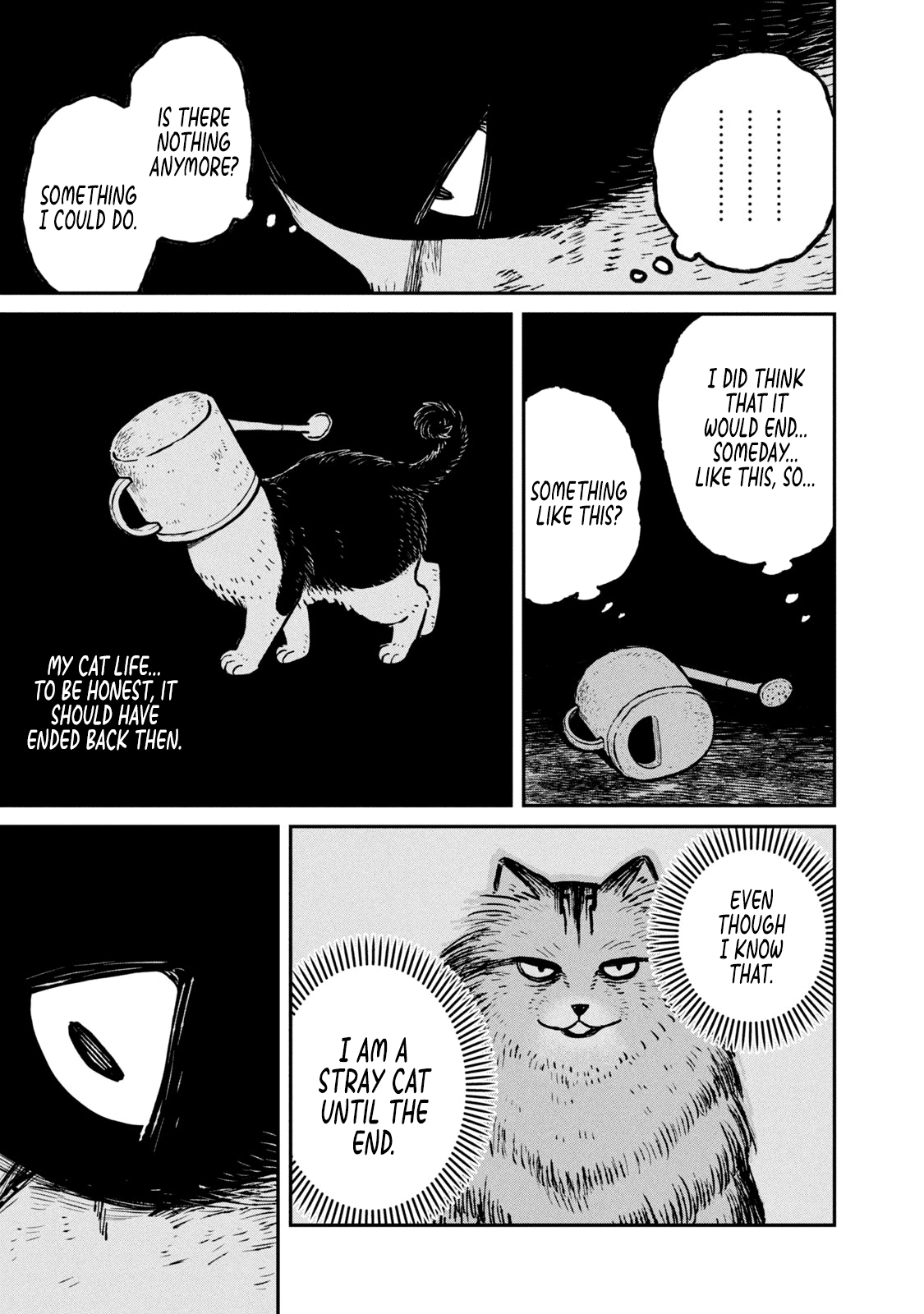 Cat Partners: Maruru and Hachi Chapter 11 page 6 - Chapter 11: Hachi's Choice