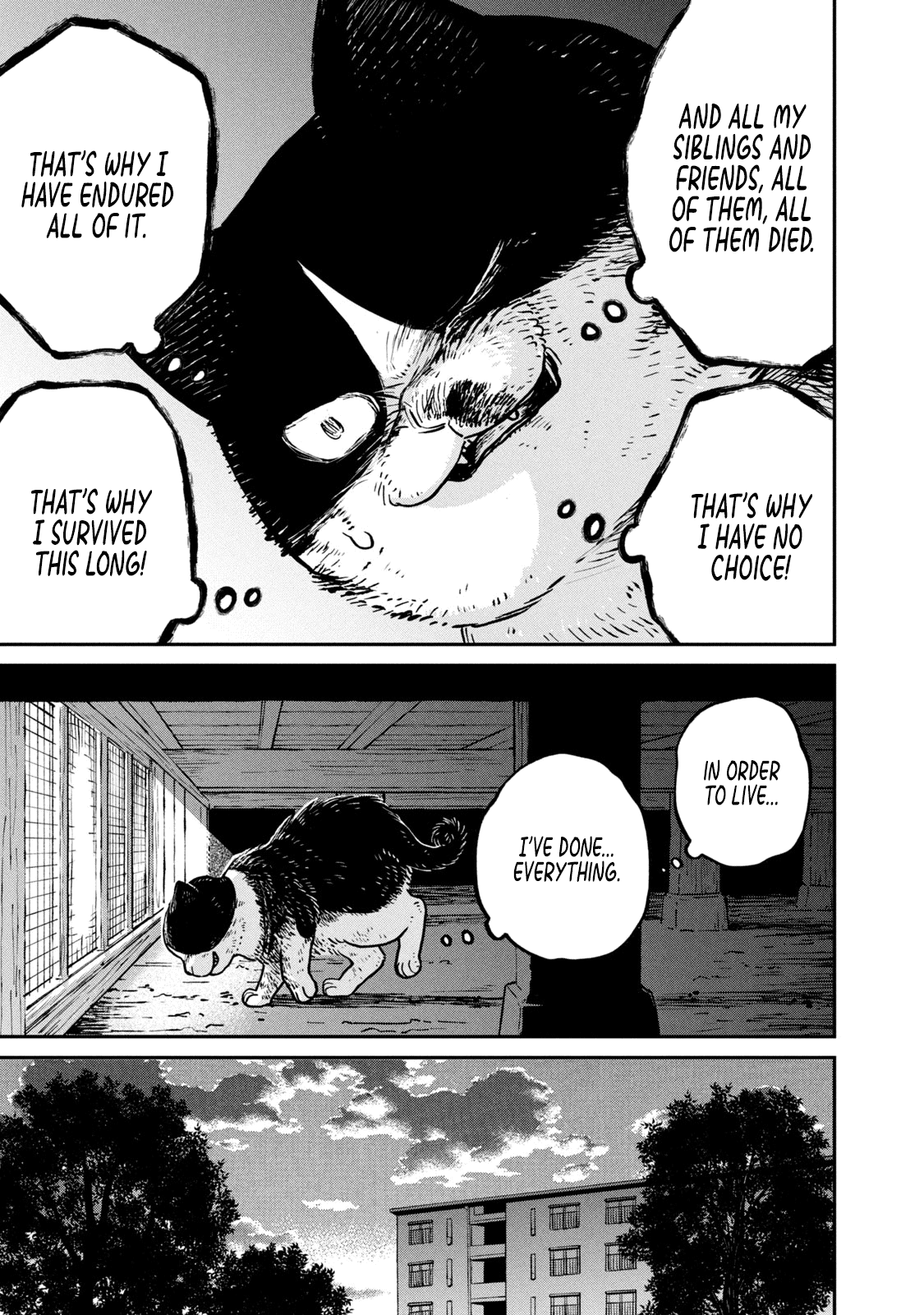 Cat Partners: Maruru and Hachi Chapter 11 page 8 - Chapter 11: Hachi's Choice