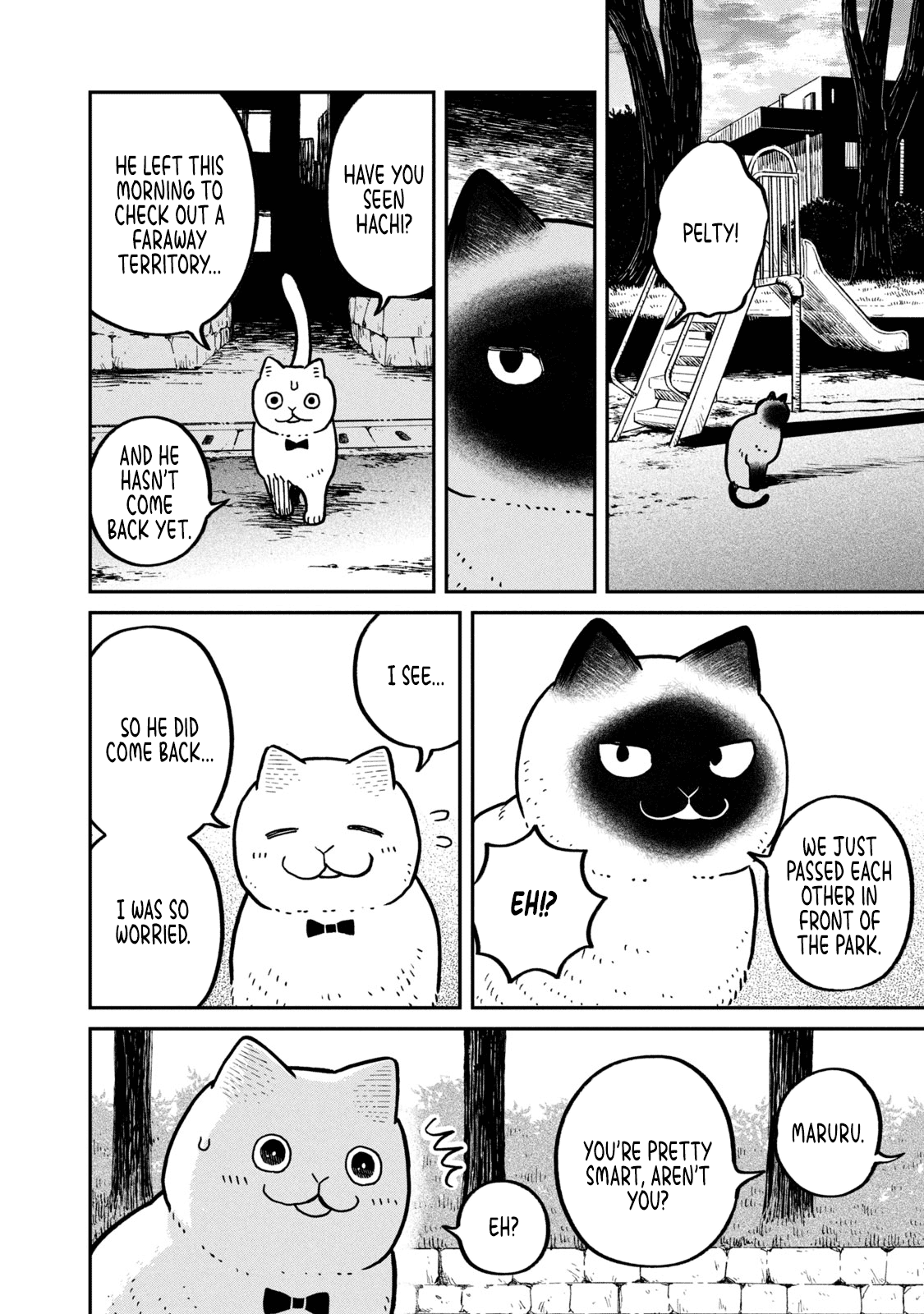 Cat Partners: Maruru and Hachi Chapter 11 page 9 - Chapter 11: Hachi's Choice