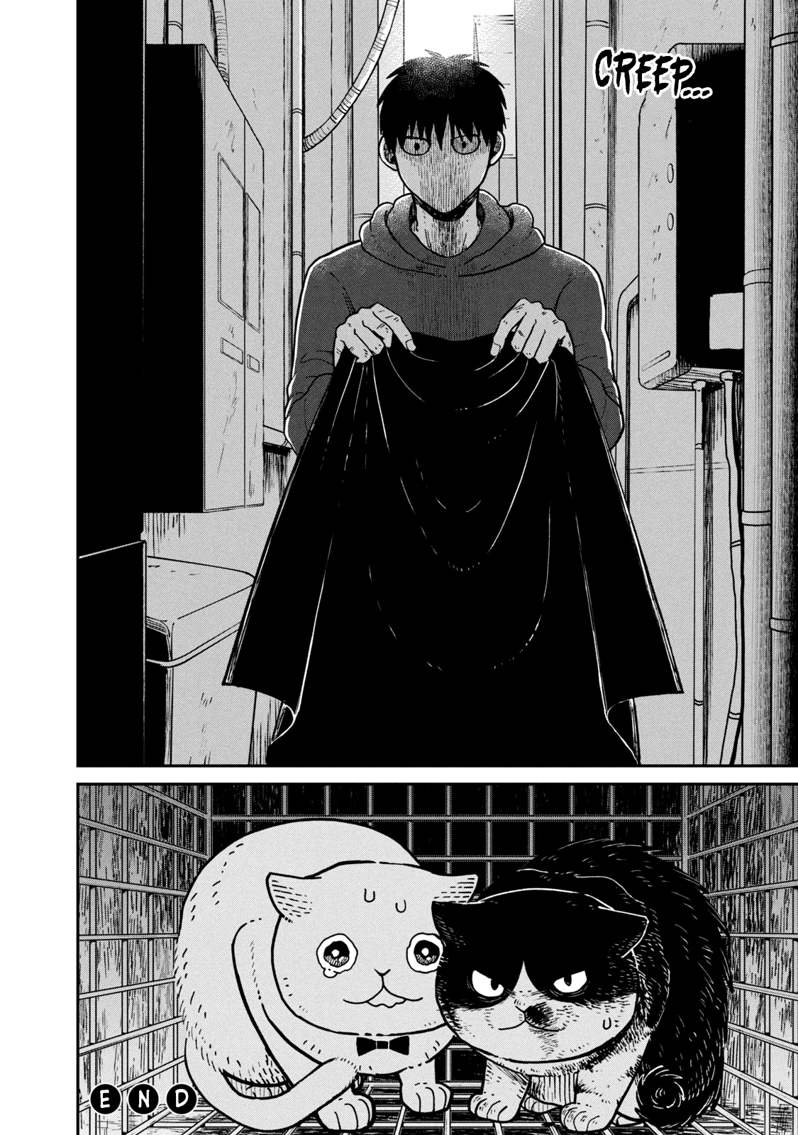 Cat Partners: Maruru and Hachi Chapter 12 page 10 - Chapter 12: The Last Sky