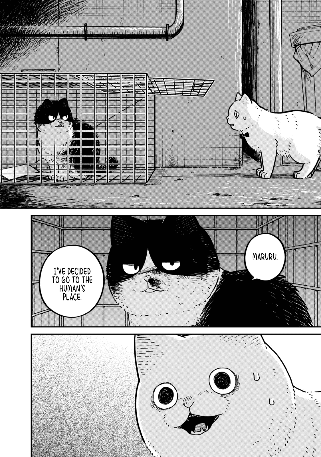 Cat Partners: Maruru and Hachi Chapter 12 page 3 - Chapter 12: The Last Sky