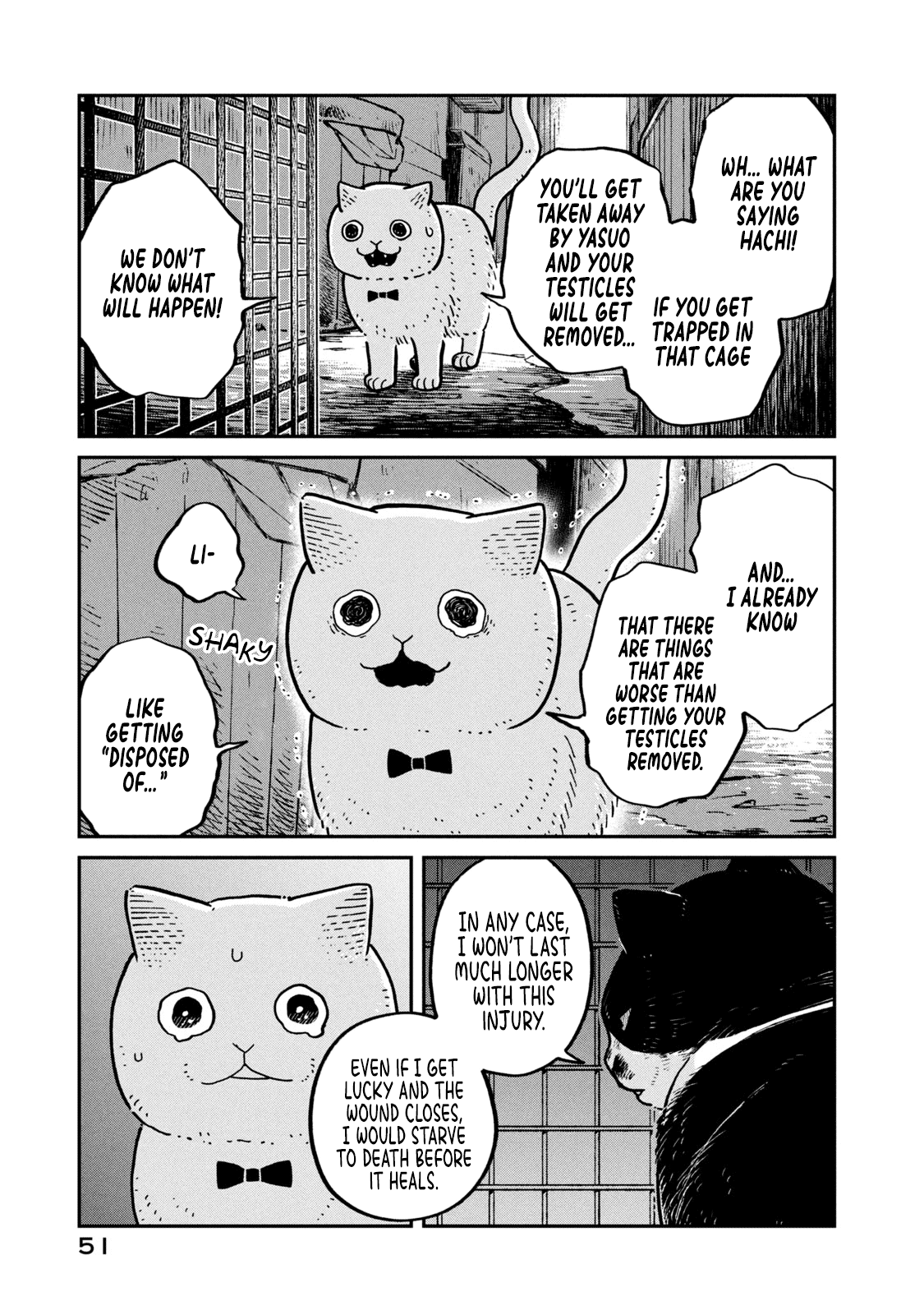 Cat Partners: Maruru and Hachi Chapter 12 page 4 - Chapter 12: The Last Sky