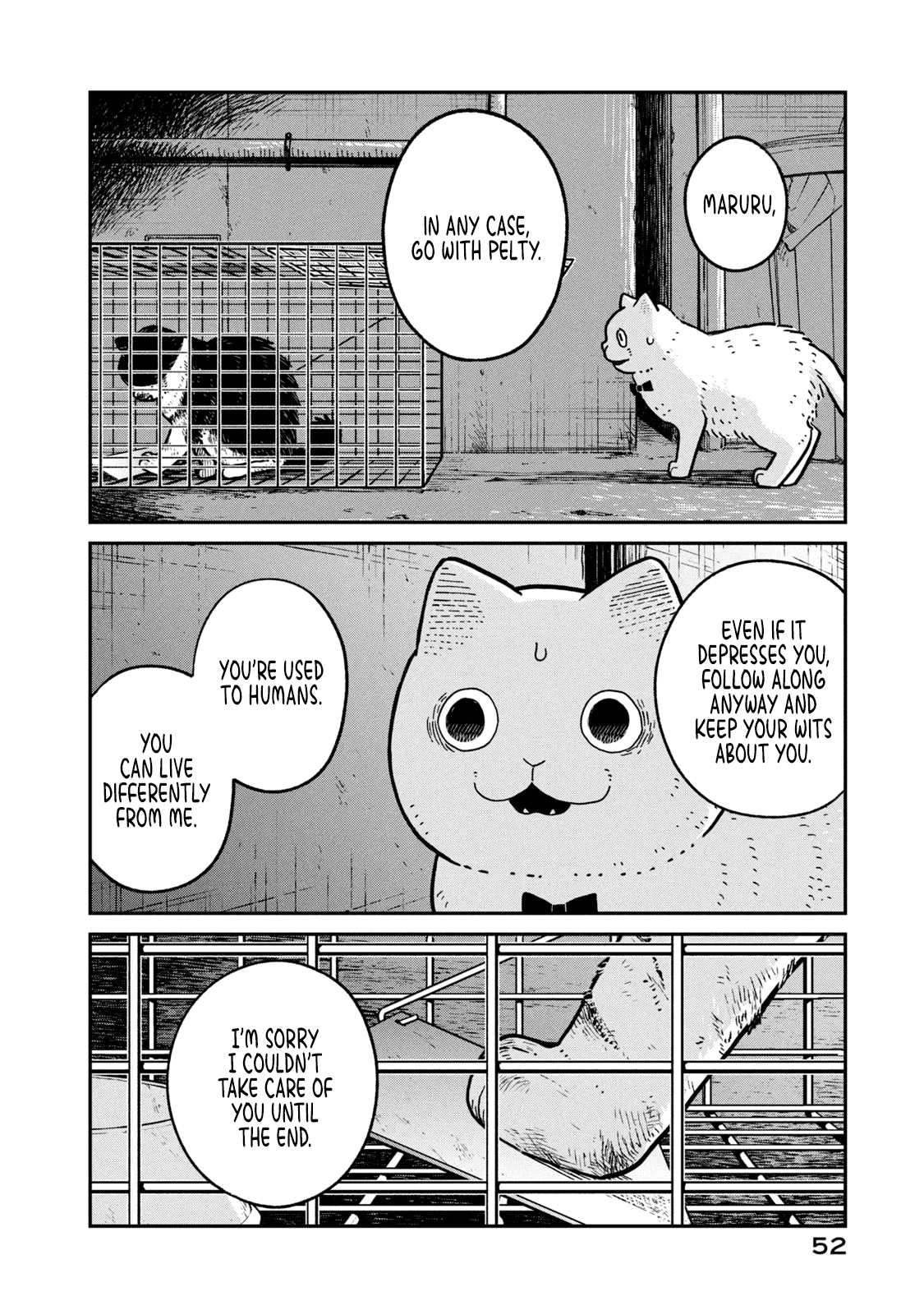 Cat Partners: Maruru and Hachi Chapter 12 page 5 - Chapter 12: The Last Sky