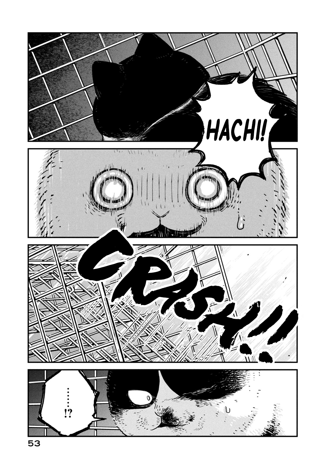 Cat Partners: Maruru and Hachi Chapter 12 page 6 - Chapter 12: The Last Sky
