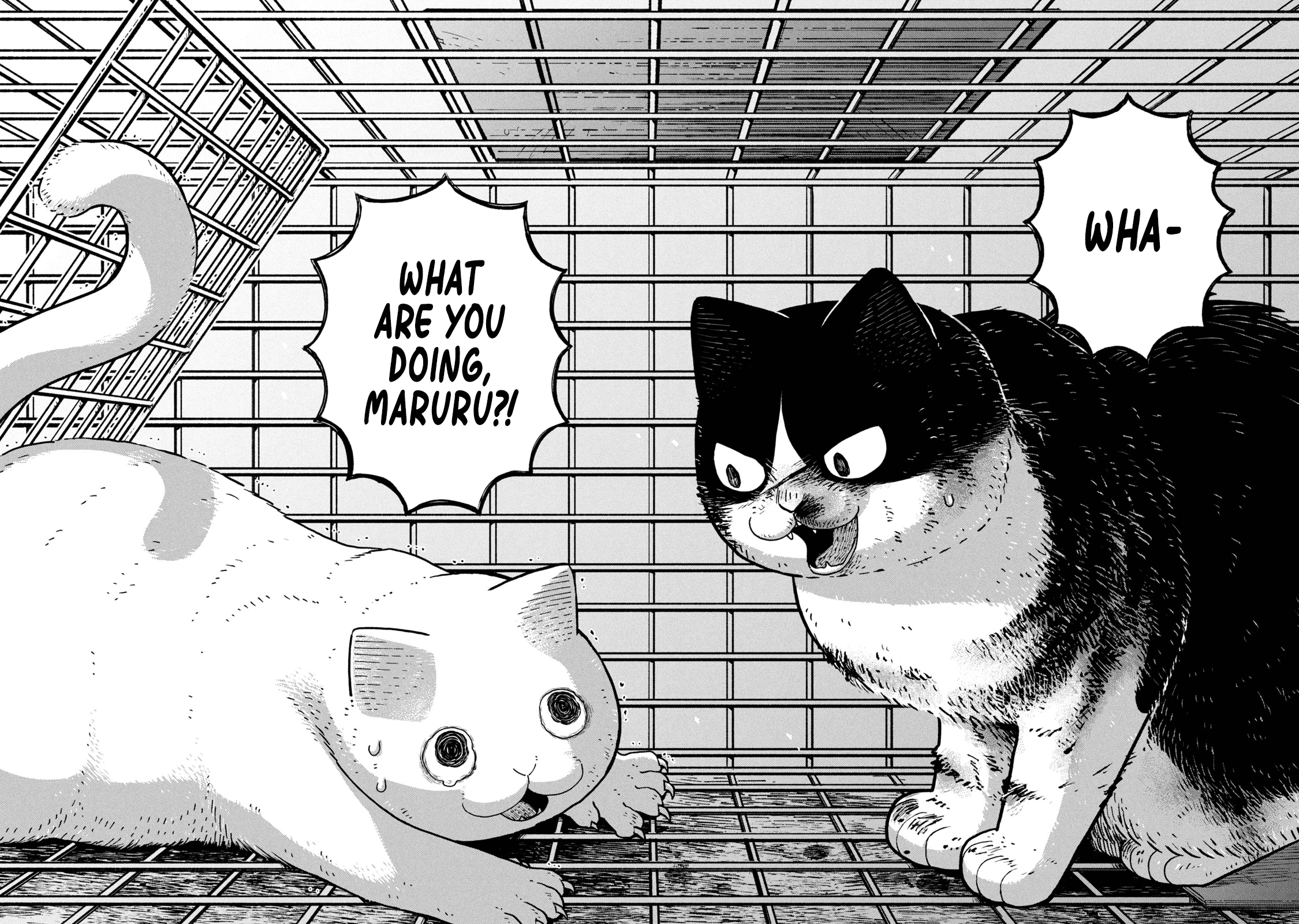 Cat Partners: Maruru and Hachi Chapter 12 page 7 - Chapter 12: The Last Sky
