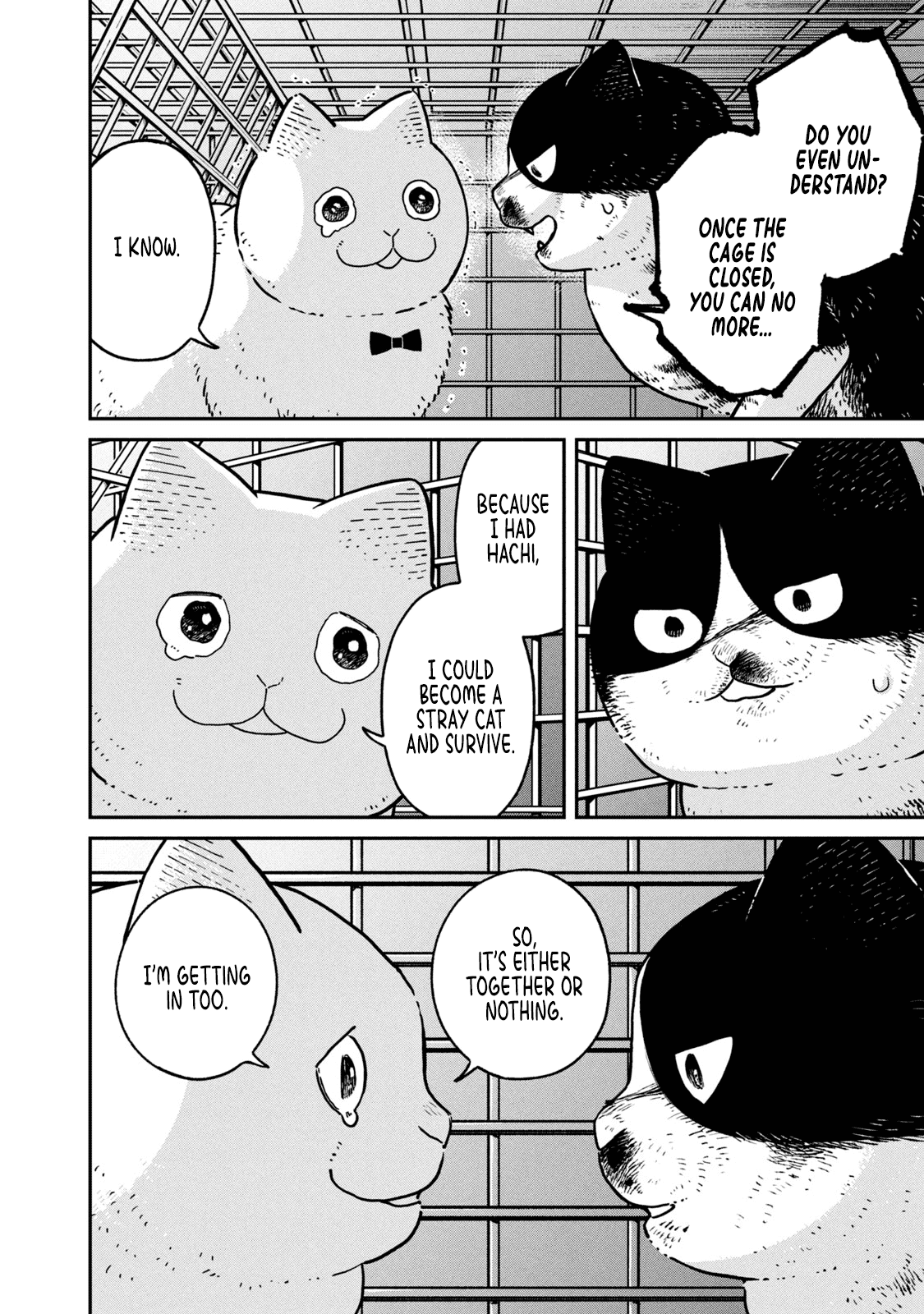 Cat Partners: Maruru and Hachi Chapter 12 page 8 - Chapter 12: The Last Sky