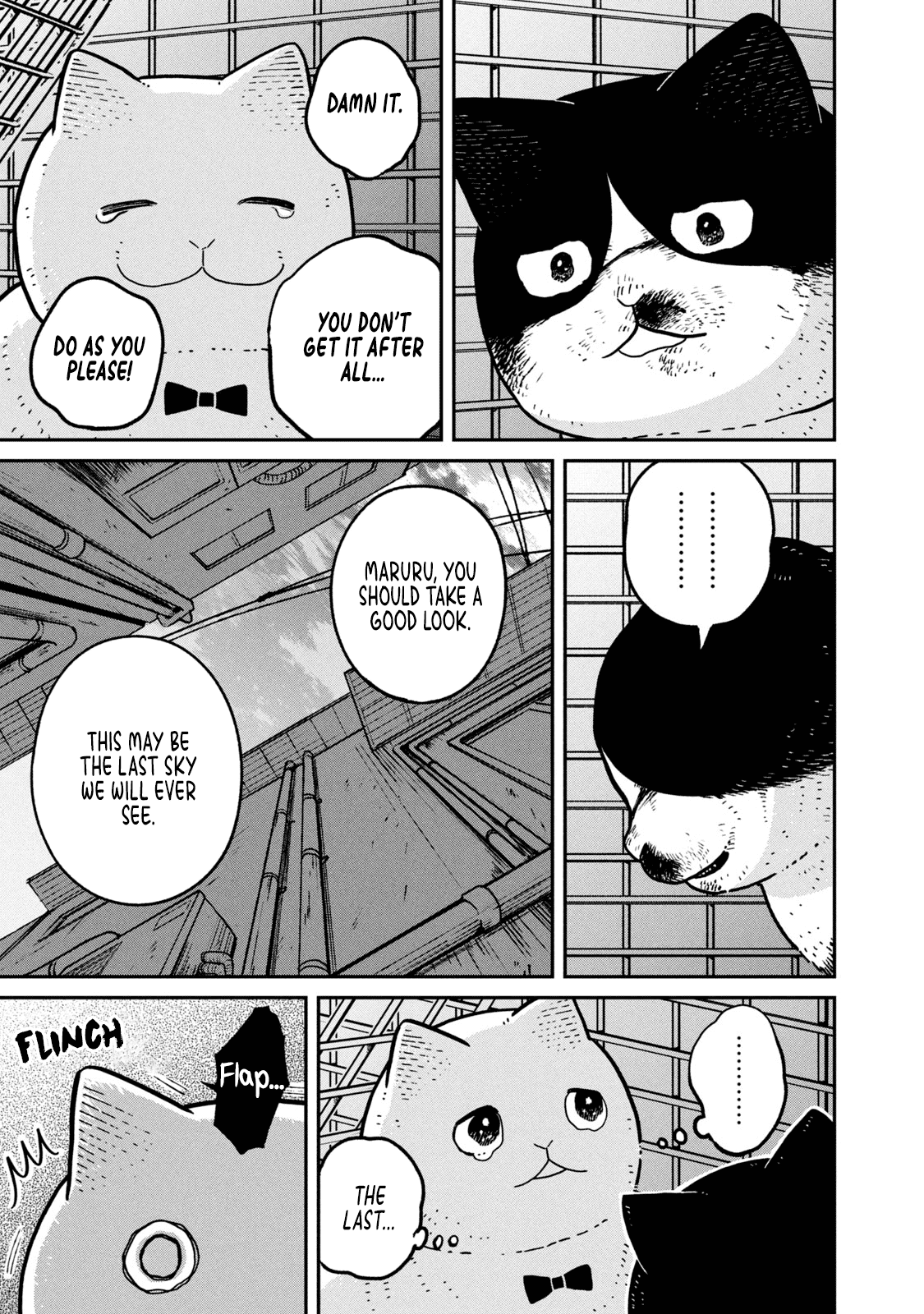 Cat Partners: Maruru and Hachi Chapter 12 page 9 - Chapter 12: The Last Sky
