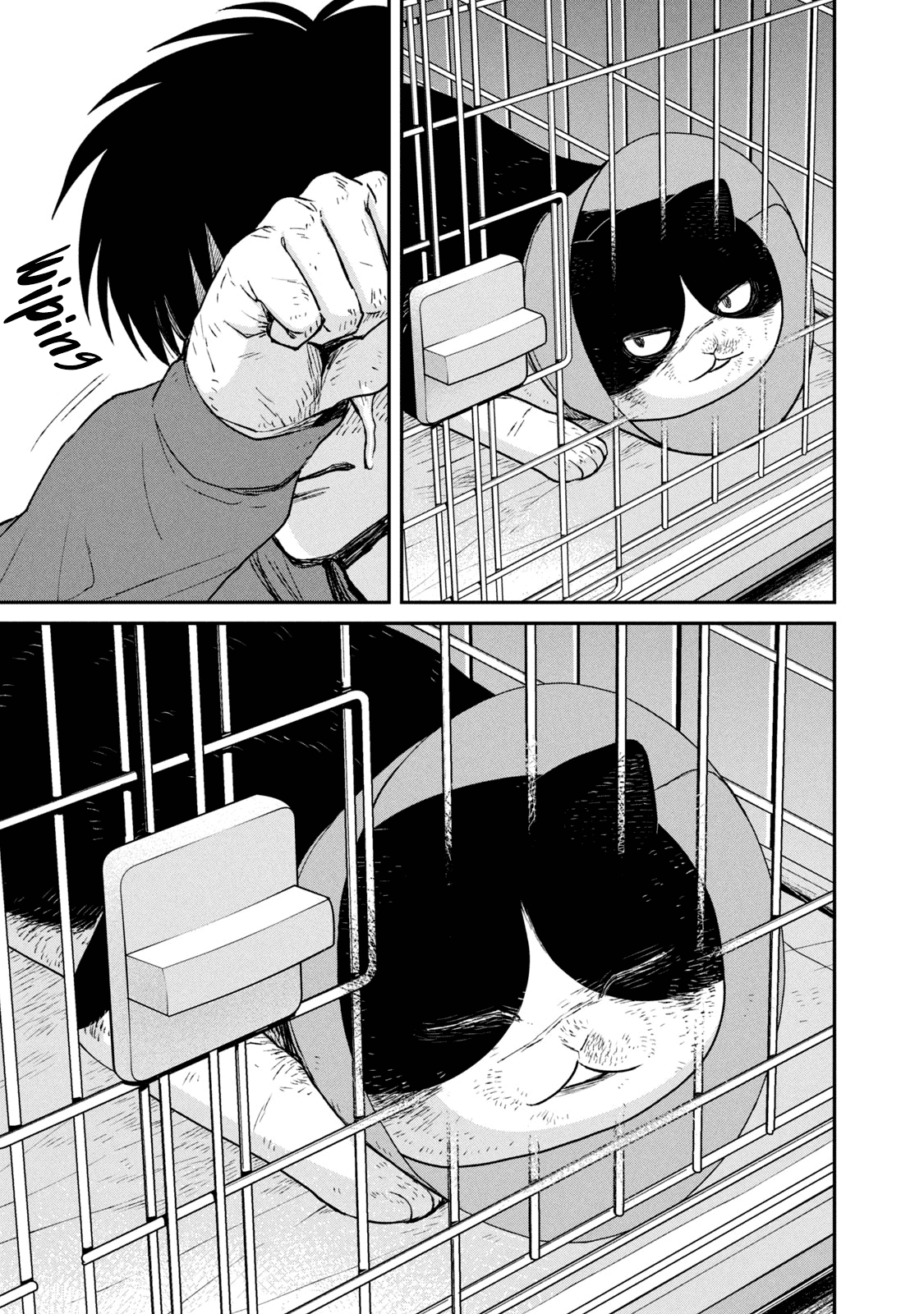 Cat Partners: Maruru and Hachi Chapter 13 page 10 - Chapter 13: The Story From Now