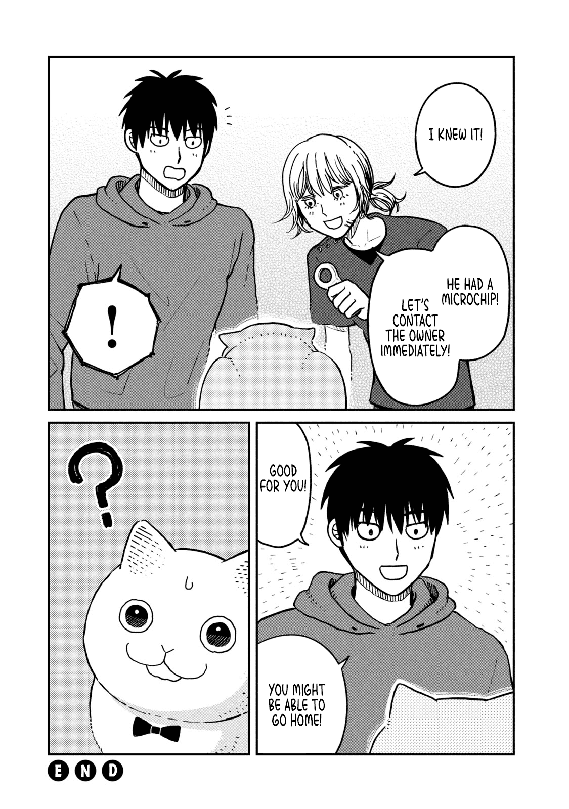 Cat Partners: Maruru and Hachi Chapter 13 page 12 - Chapter 13: The Story From Now