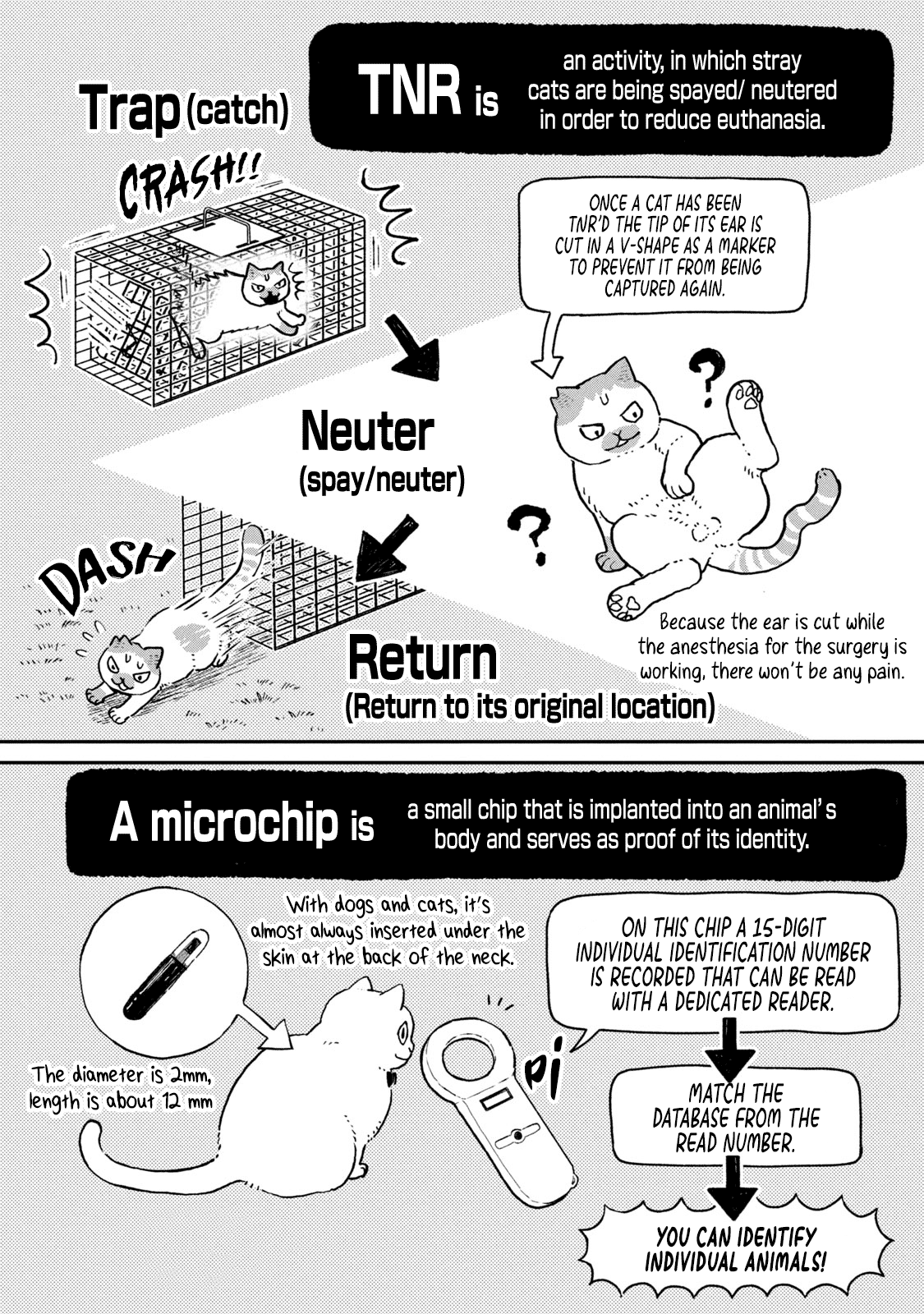 Cat Partners: Maruru and Hachi Chapter 13 page 13 - Chapter 13: The Story From Now