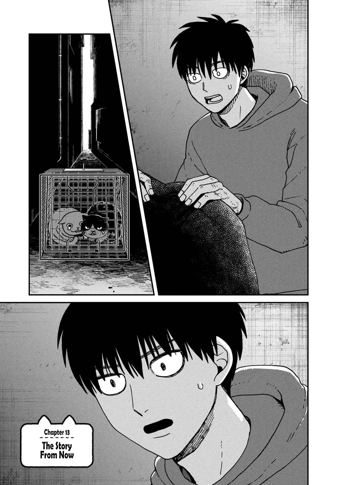 Cat Partners: Maruru and Hachi Chapter 13 page 2 - Chapter 13: The Story From Now