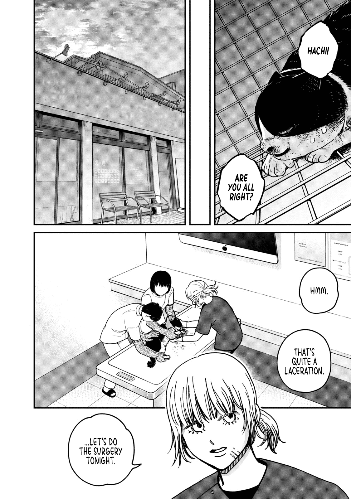 Cat Partners: Maruru and Hachi Chapter 13 page 5 - Chapter 13: The Story From Now