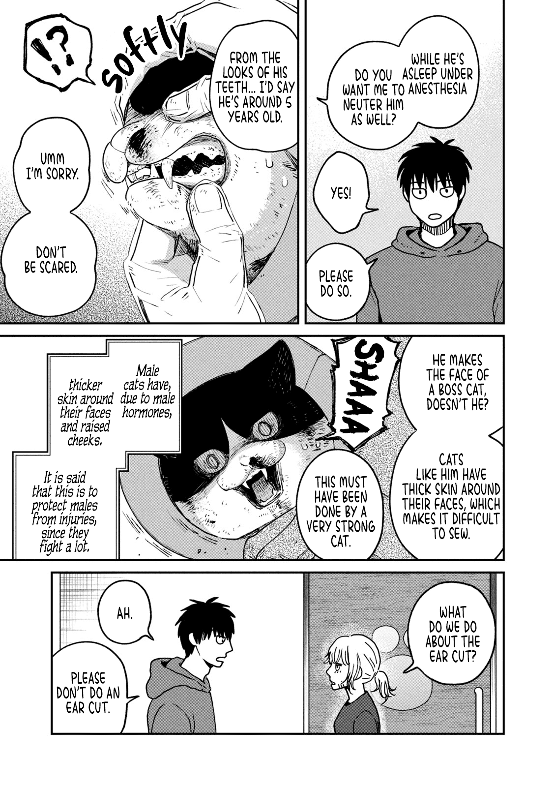 Cat Partners: Maruru and Hachi Chapter 13 page 6 - Chapter 13: The Story From Now
