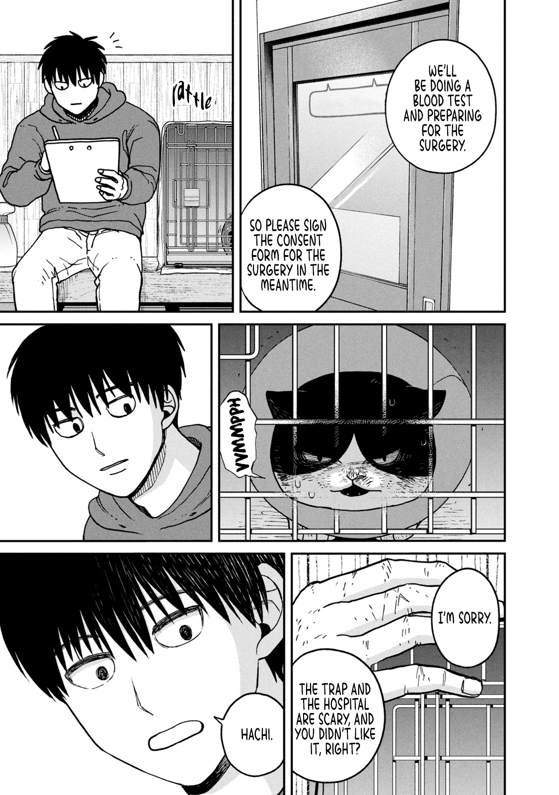 Cat Partners: Maruru and Hachi Chapter 13 page 8 - Chapter 13: The Story From Now